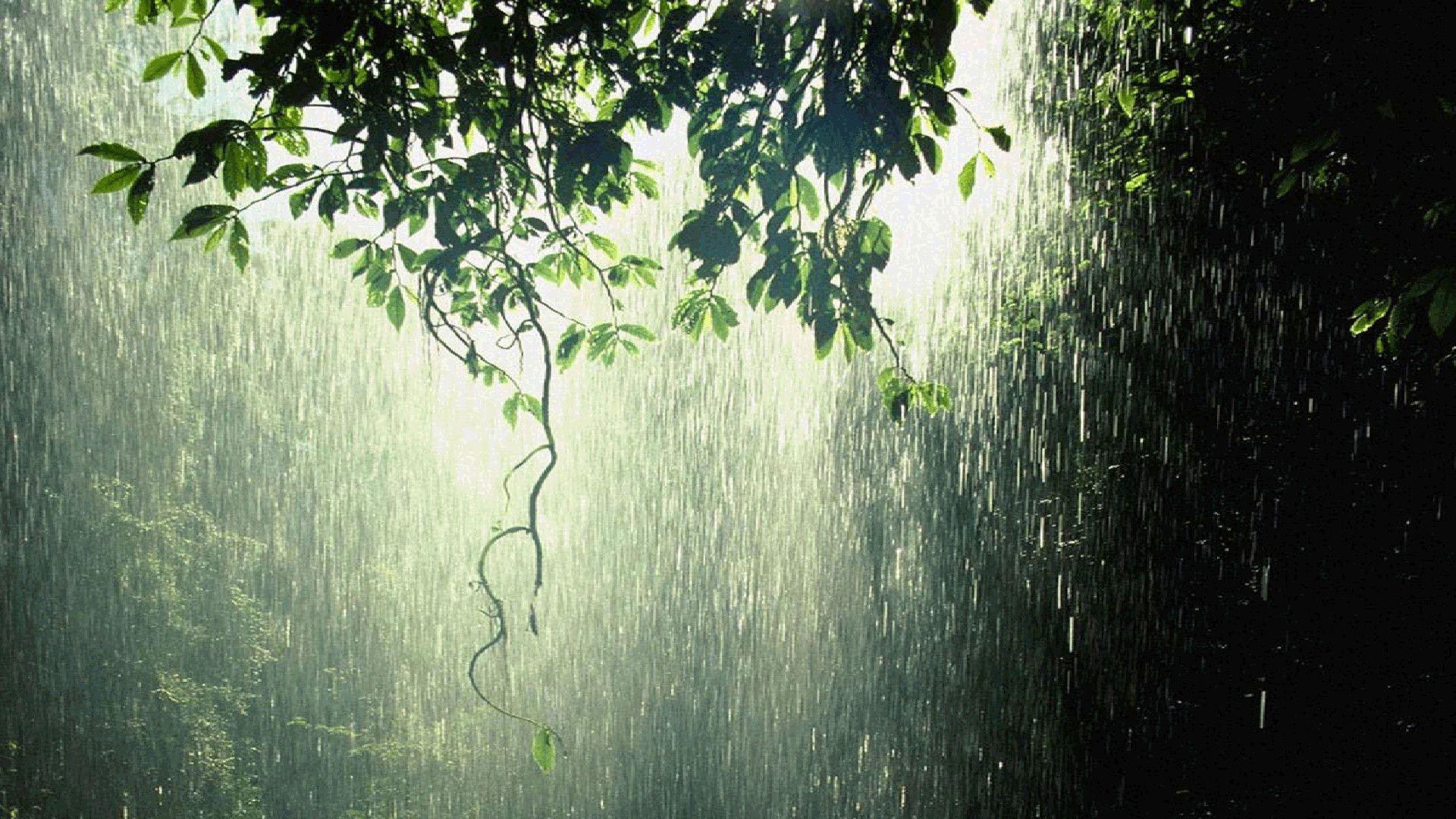 Spring Rain Wallpapers Top Free Spring Rain Backgrounds WallpaperAccess