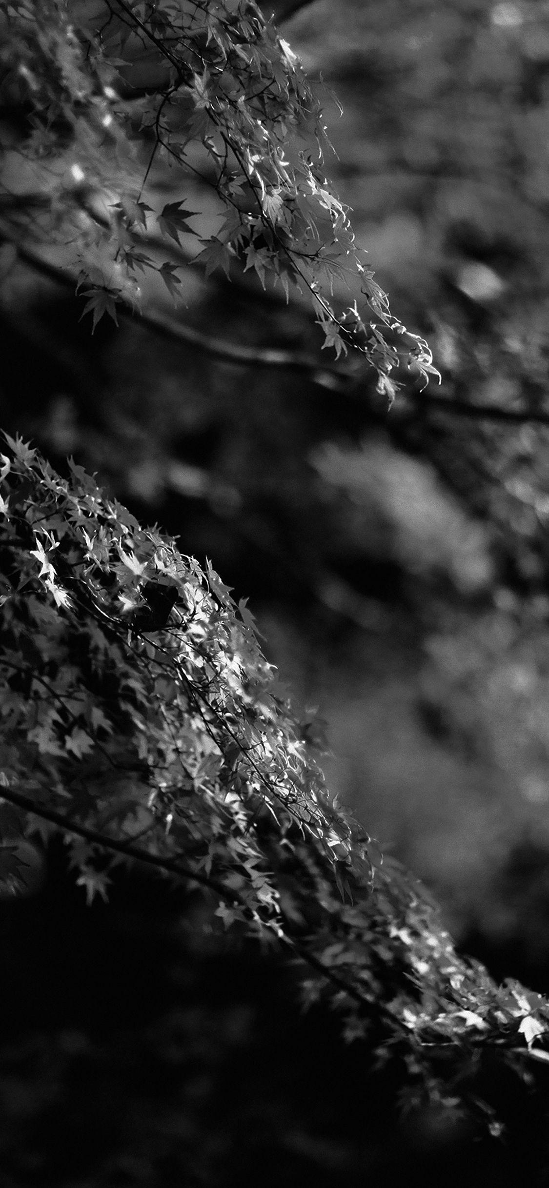 Black Japanese Wallpapers Top Free Black Japanese Backgrounds