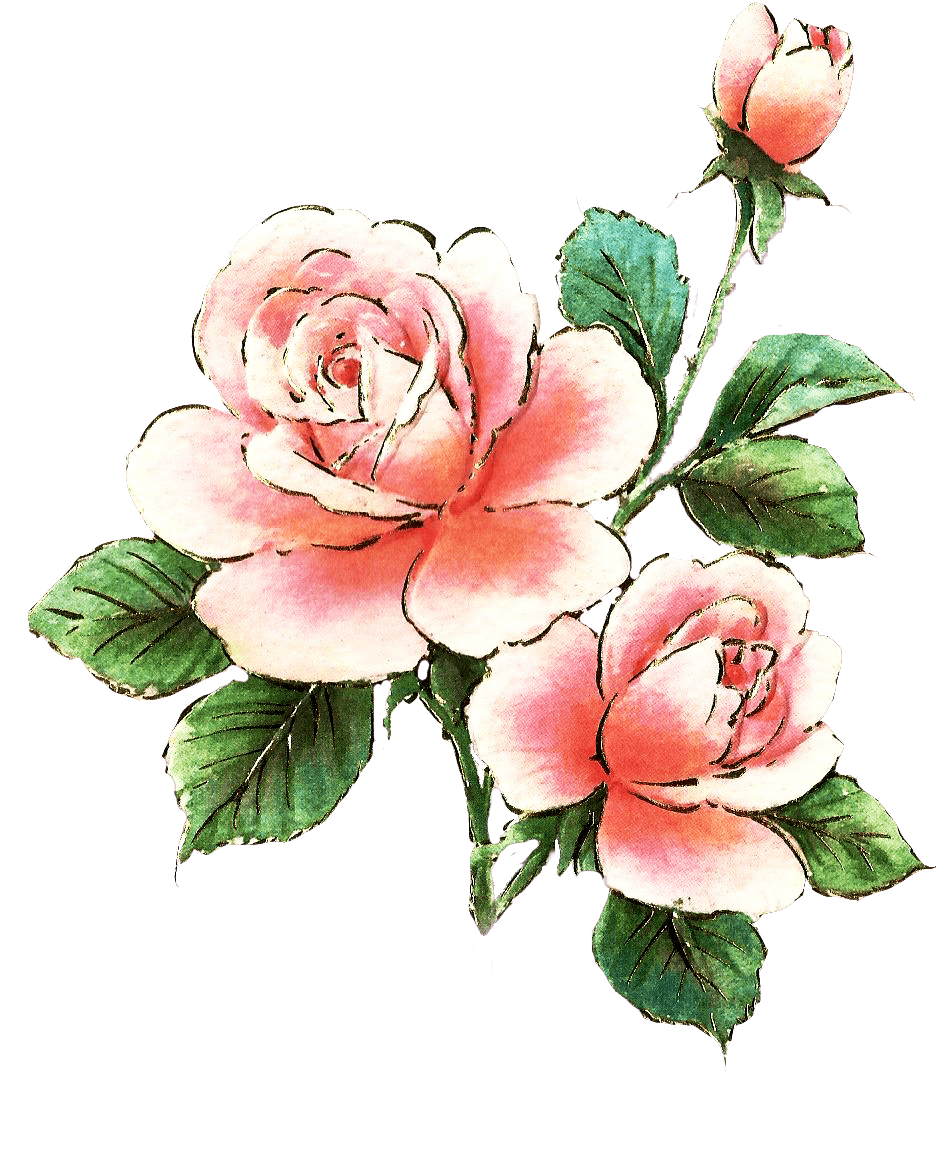Rose Art Wallpapers Top Free Rose Art Backgrounds WallpaperAccess