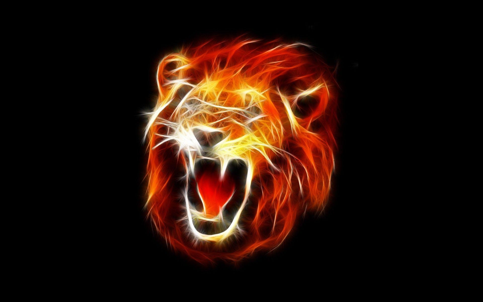 Red Lion Wallpapers Top Free Red Lion Backgrounds WallpaperAccess