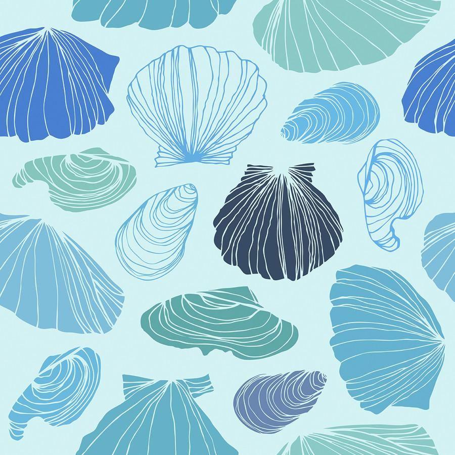 Seashells Wallpapers Top Free Seashells Backgrounds WallpaperAccess
