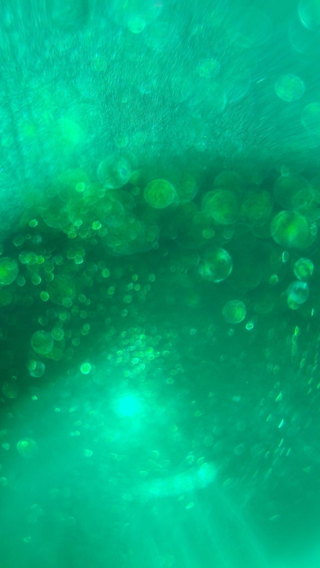 Green Aesthetic Tumblr Wallpapers Top Free Green Aesthetic Tumblr