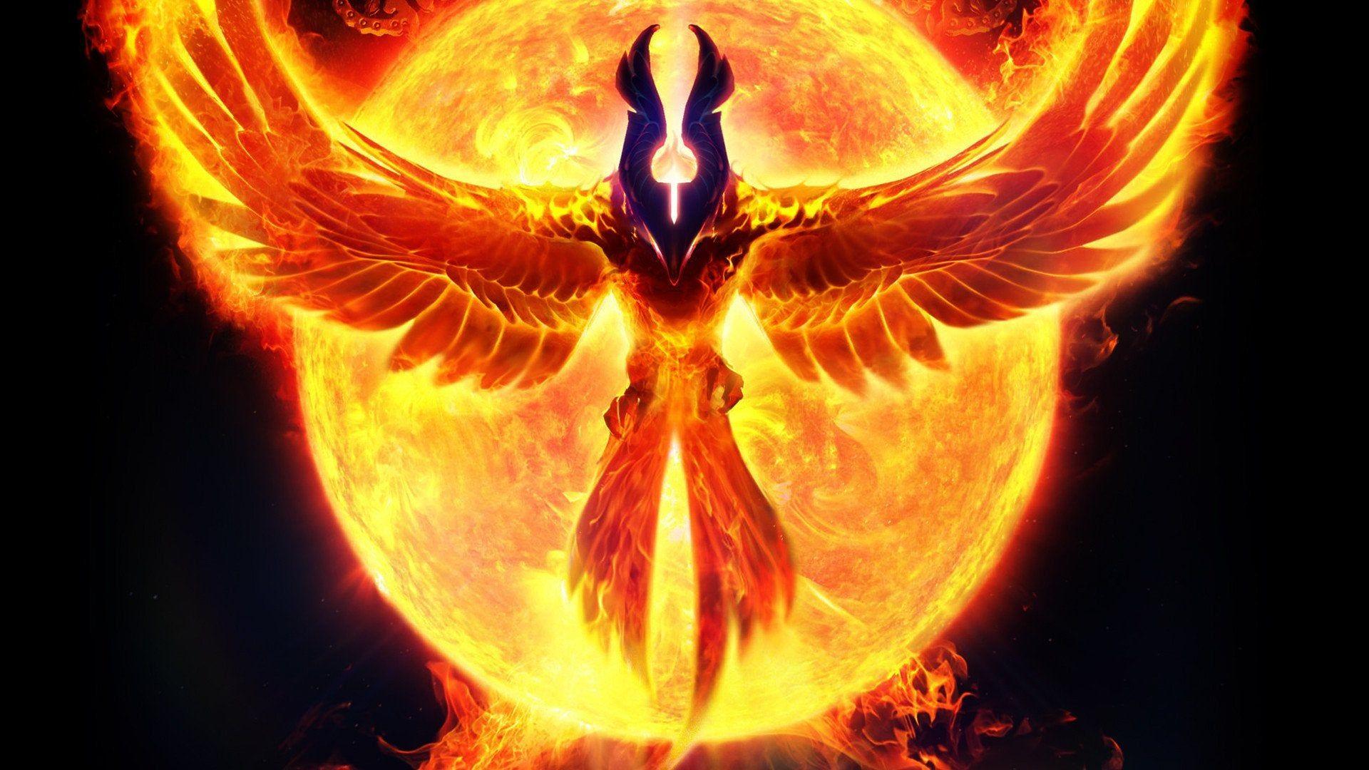 Phoenix Rising Wallpapers Top Free Phoenix Rising Backgrounds