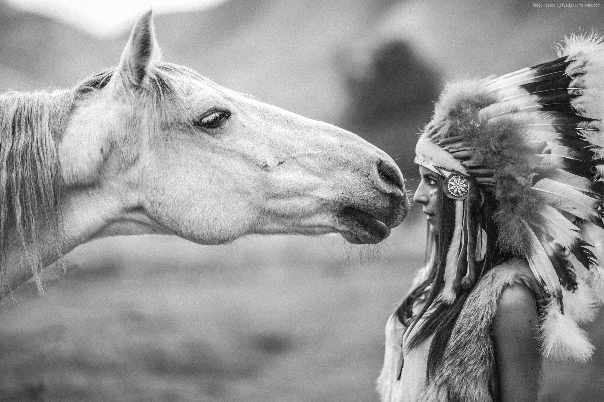 Horse Native American Art Wallpapers Top Free Horse Native American Art Backgrounds