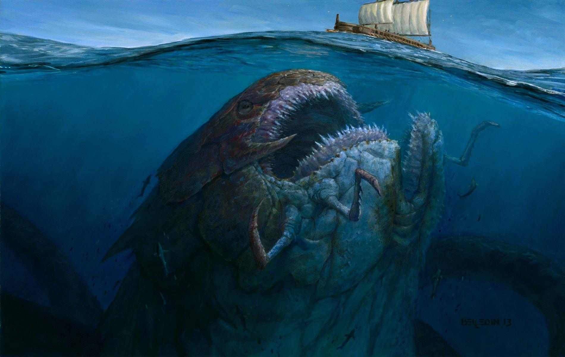 Kraken Wallpapers Top Free Kraken Backgrounds