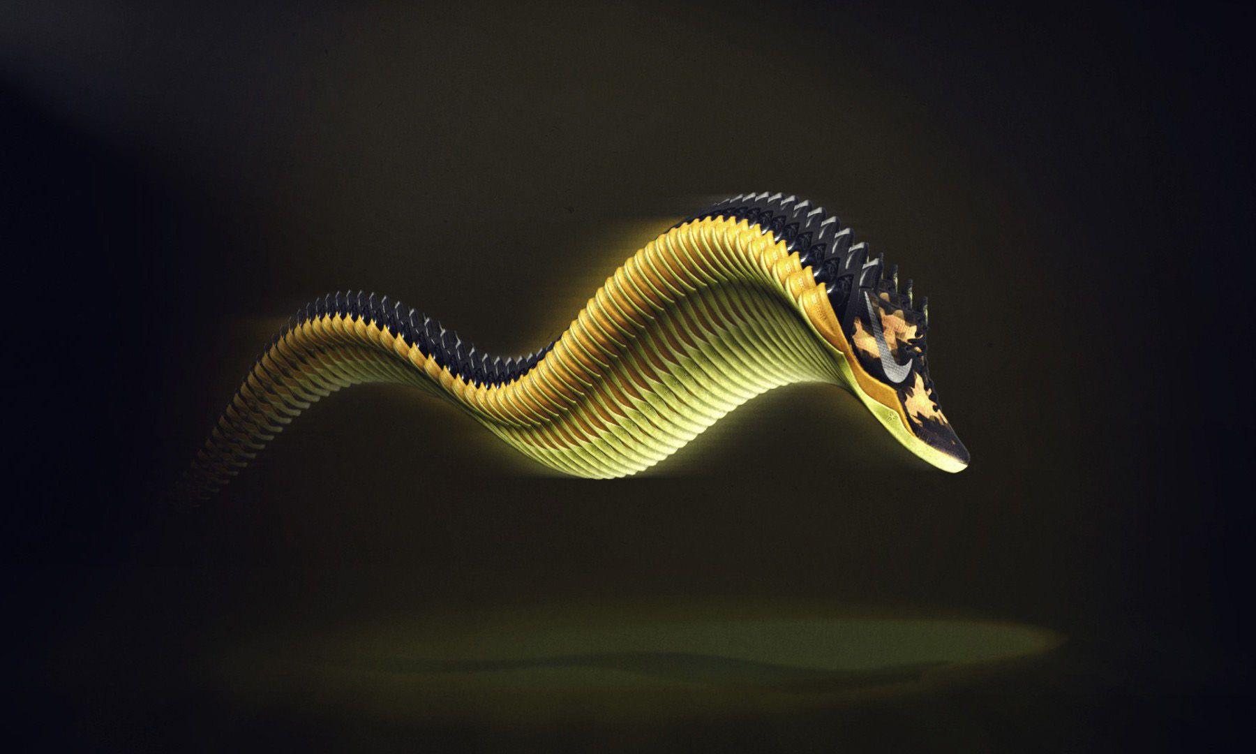 Black Mamba Wallpapers Top Free Black Mamba Backgrounds WallpaperAccess