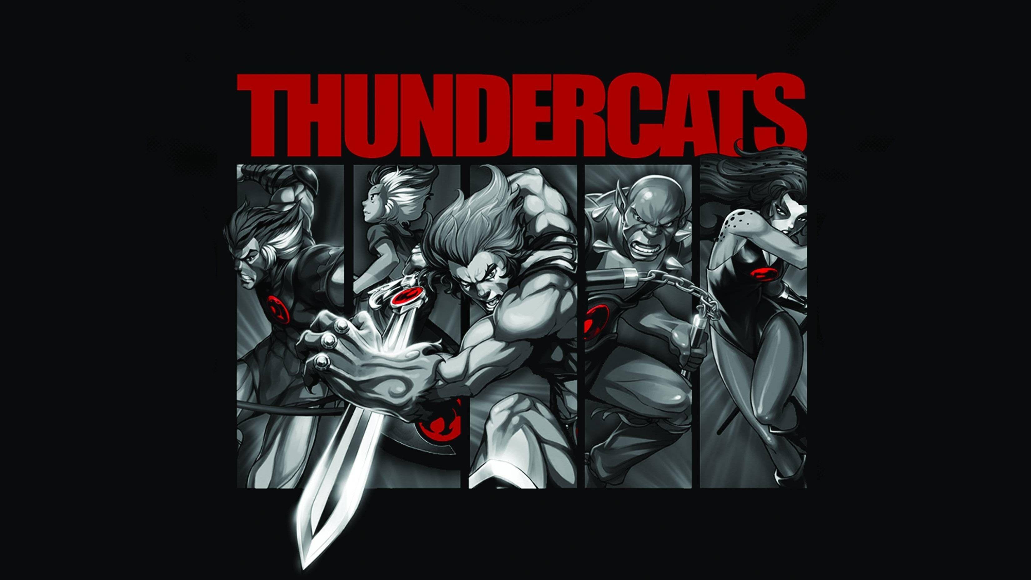 Thundercats Wallpapers Top Free Thundercats Backgrounds WallpaperAccess