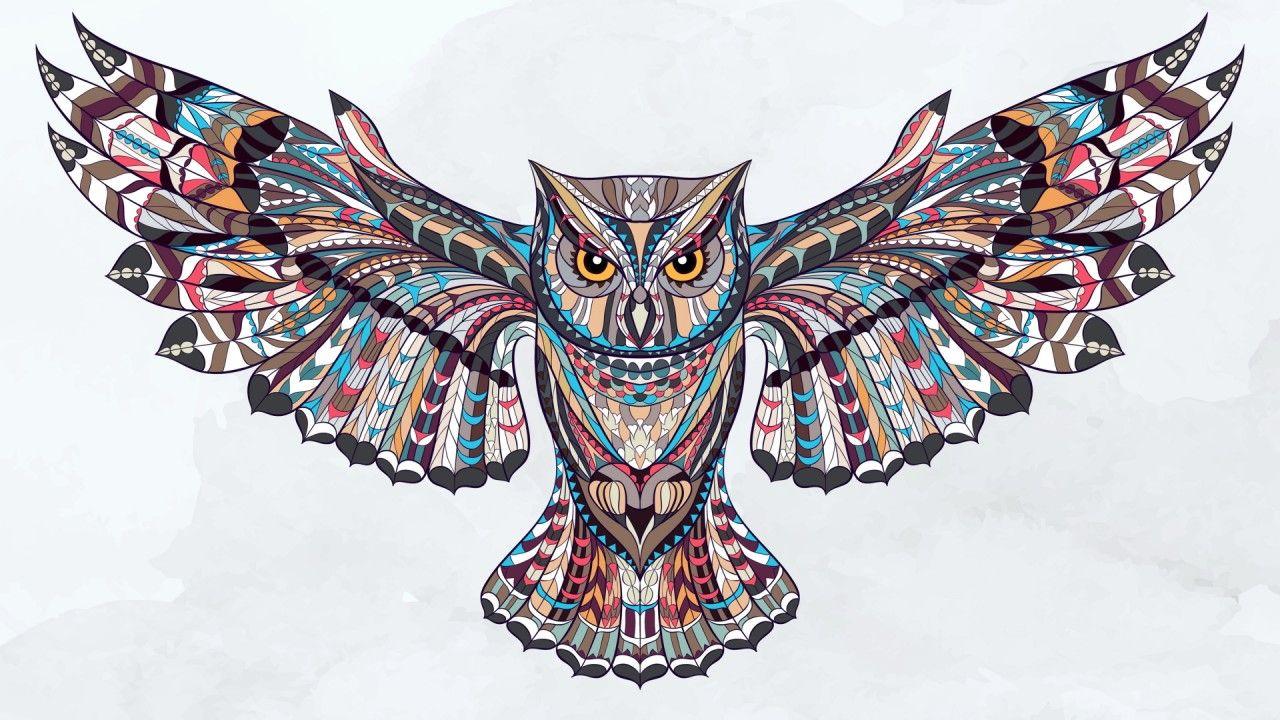 Art Owl Wallpapers Top Free Art Owl Backgrounds WallpaperAccess