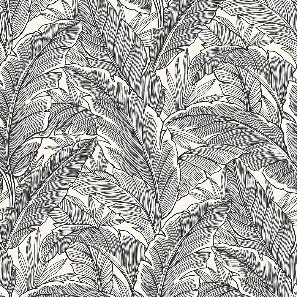 Black and White Tropical Wallpapers Top Free Black and White Tropical