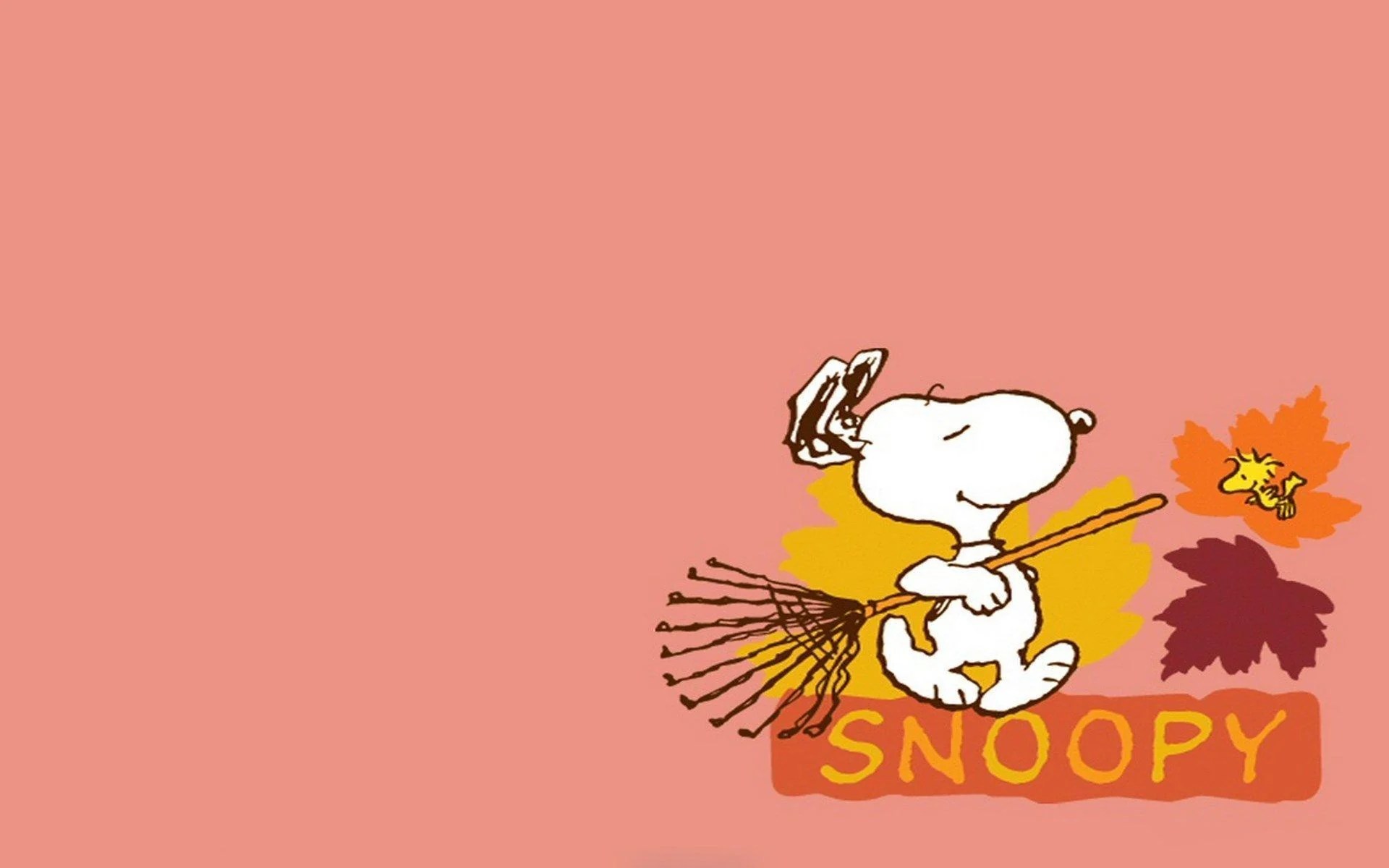 Snoopy Fall Wallpapers Top Free Snoopy Fall Backgrounds WallpaperAccess