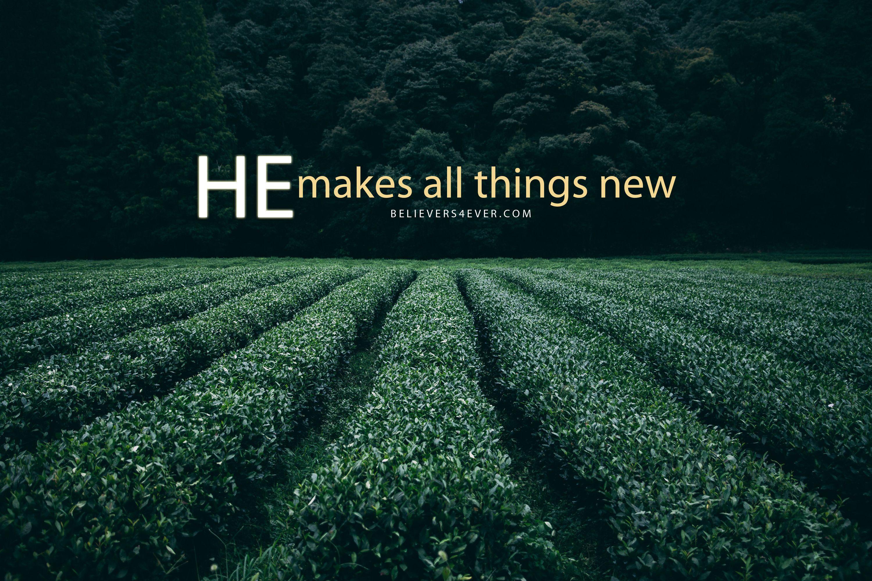 Biblical Wallpapers Top Free Biblical Backgrounds WallpaperAccess