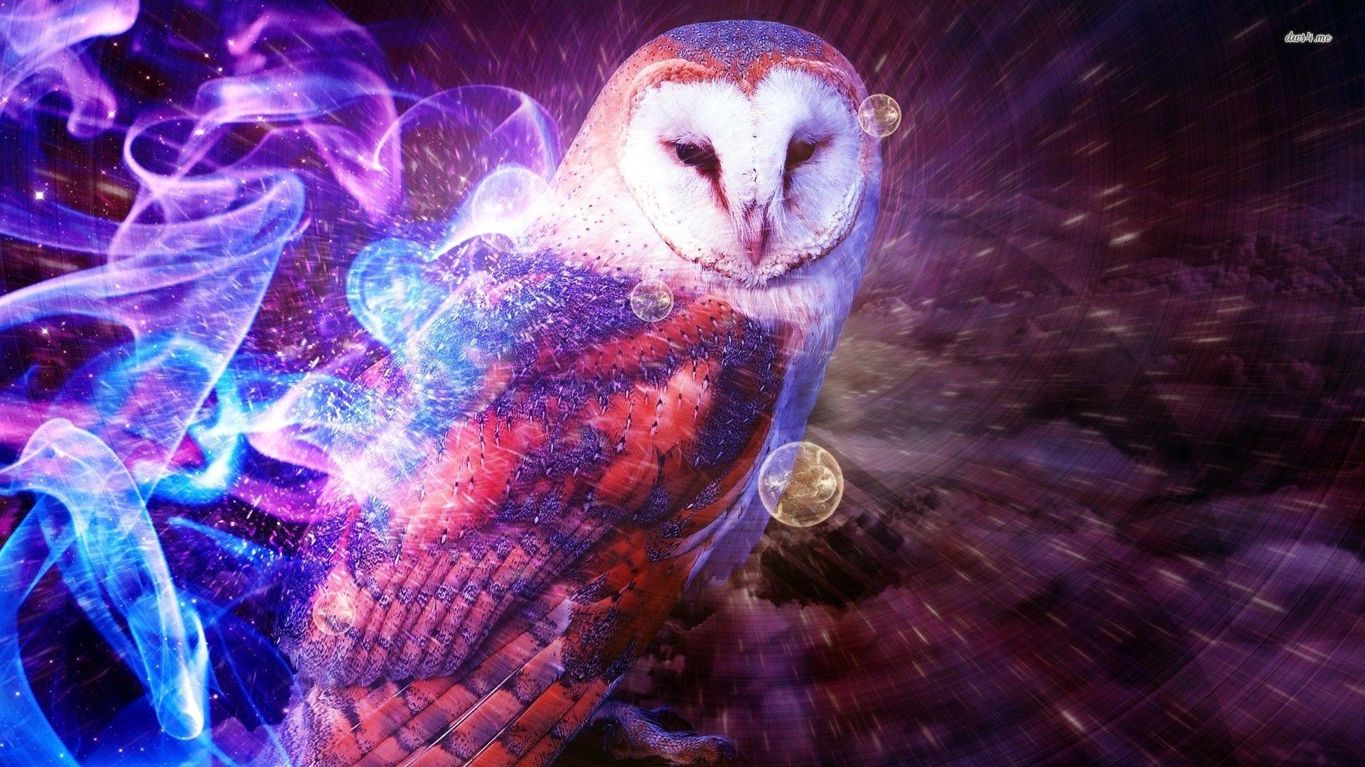 Cool Owl Wallpapers Top Free Cool Owl Backgrounds WallpaperAccess