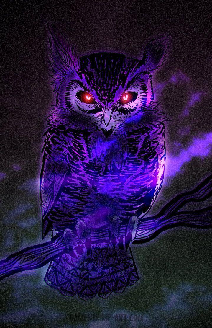 Night Owl Wallpapers Top Free Night Owl Backgrounds WallpaperAccess