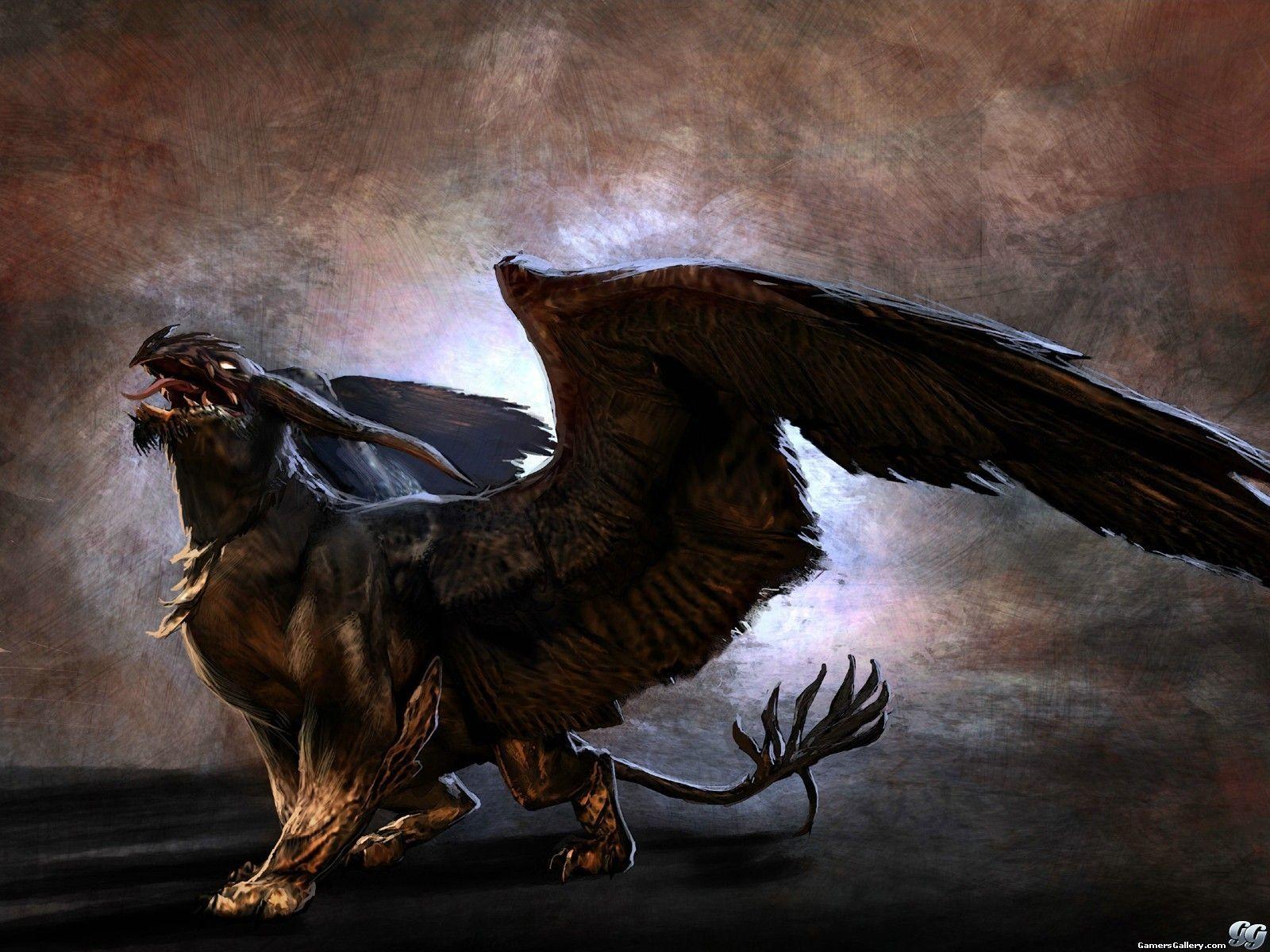 Griffin Wallpapers - Top Free Griffin Backgrounds - WallpaperAccess
