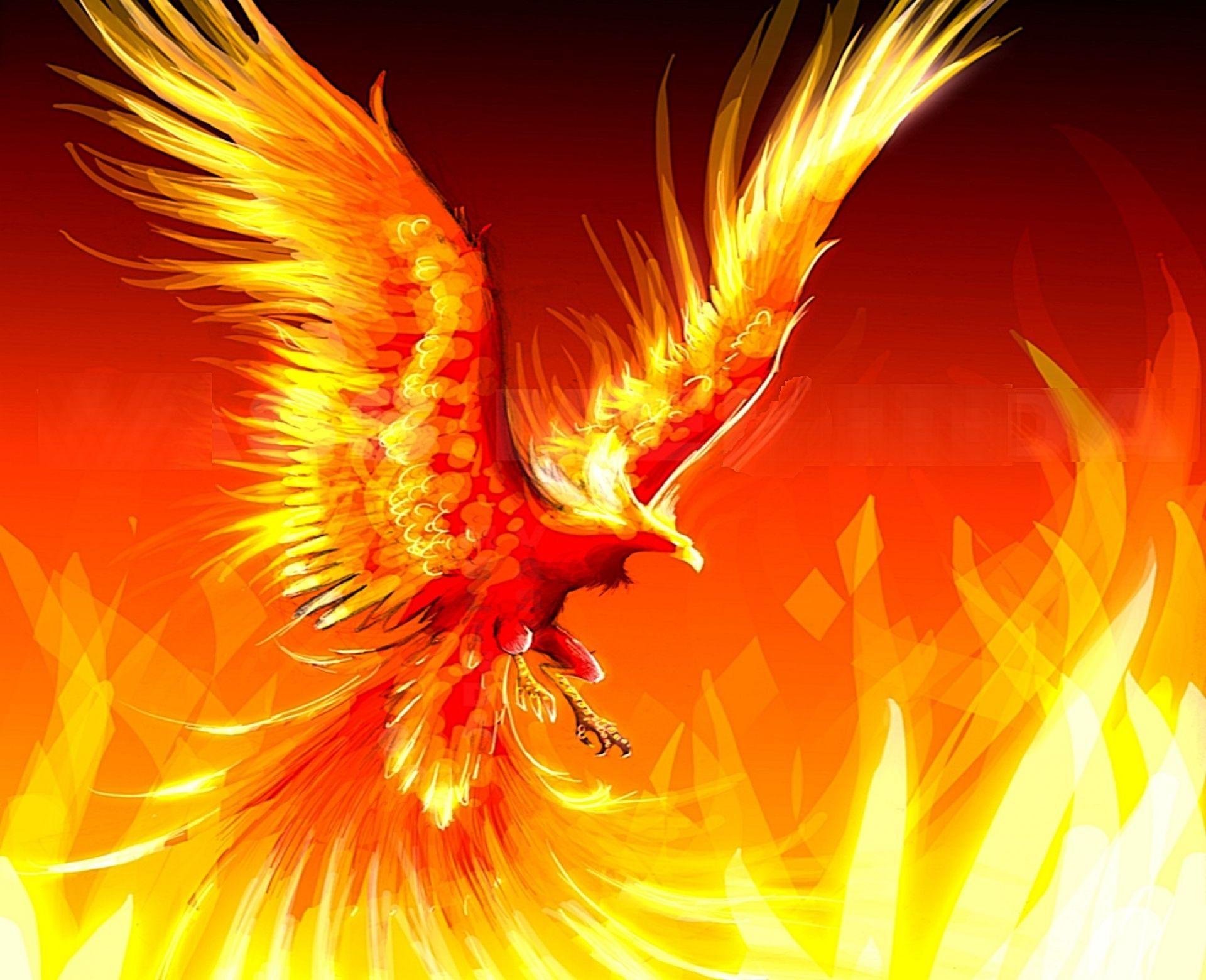 Fire Phoenix Wallpapers Top Free Fire Phoenix Backgrounds