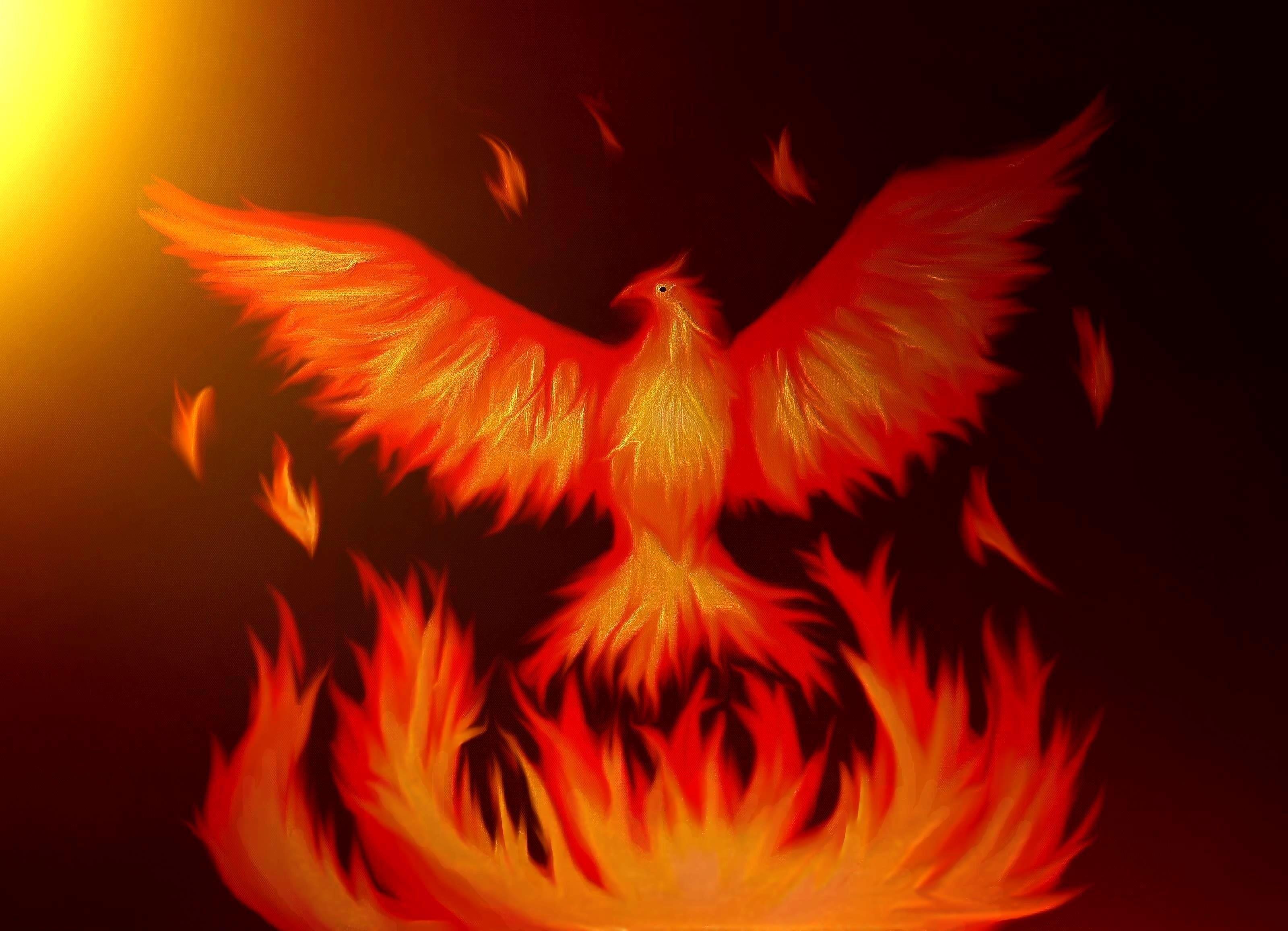 Phoenix Rising Wallpapers Top Free Phoenix Rising Backgrounds