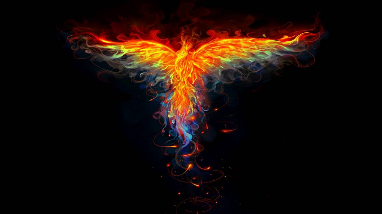 Phoenix Rising Wallpapers Top Free Phoenix Rising Backgrounds