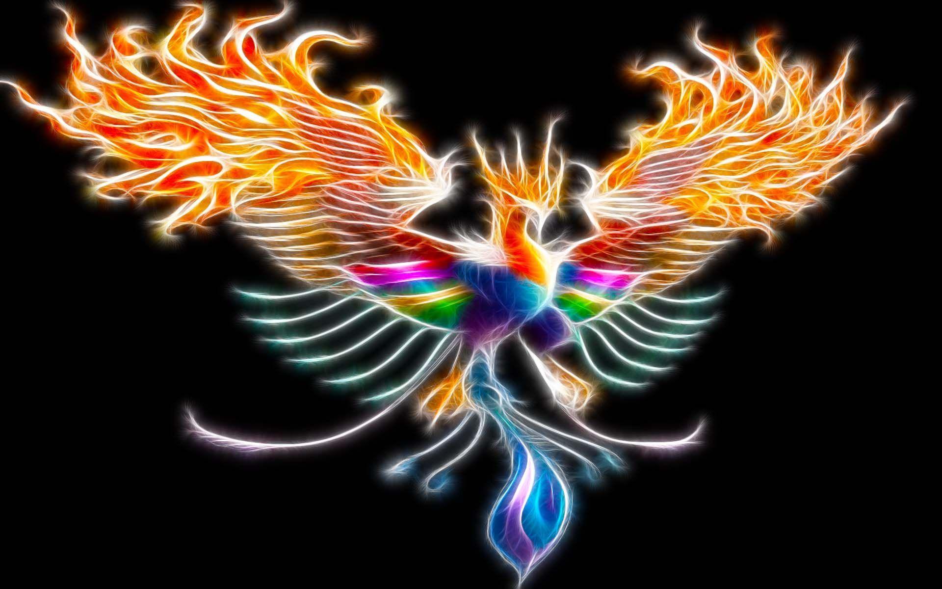 Rainbow Phoenix Wallpapers Top Free Rainbow Phoenix Backgrounds