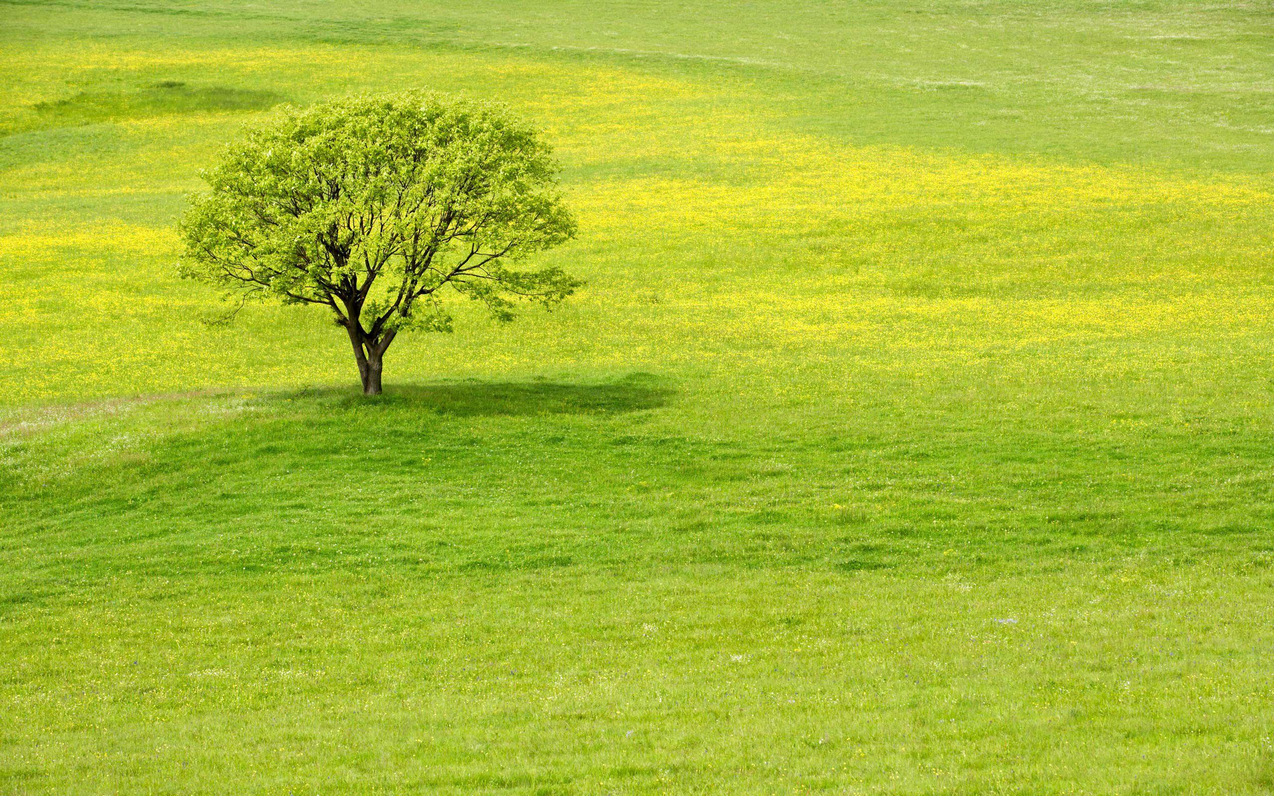 Unbelievable Wallpapers Top Free Unbelievable Backgrounds
