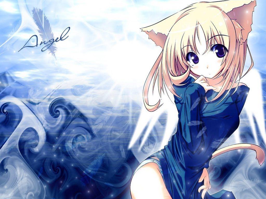 Cute Anime Cat Wallpapers Top Free Cute Anime Cat Backgrounds