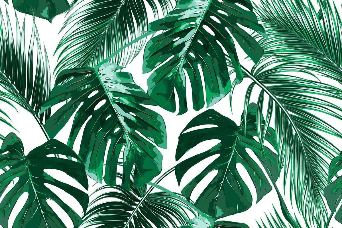 Aesthetic Palm Leaves Wallpapers Top Free Aesthetic Palm