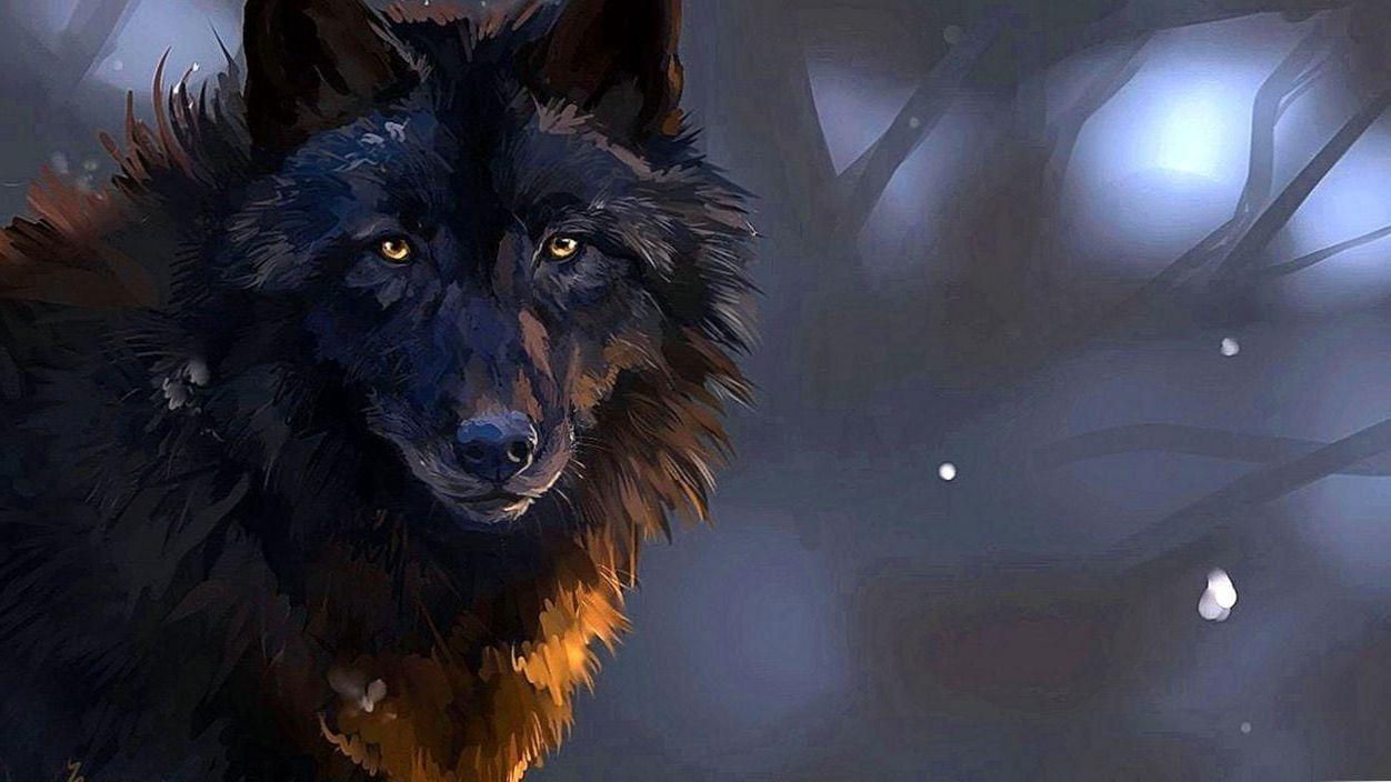 Epic Wolves Wallpapers Top Free Epic Wolves Backgrounds WallpaperAccess