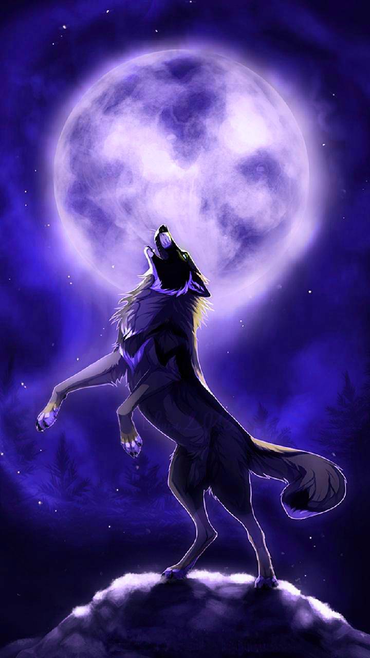 Mystical Wolf Wallpapers Top Free Mystical Wolf