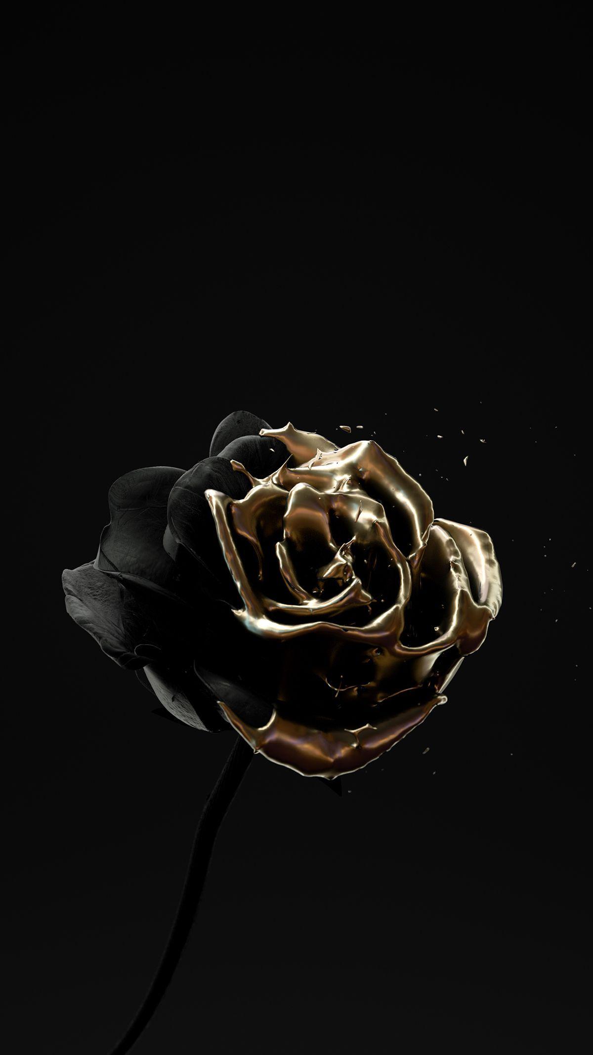 Black and Gold Flower Wallpapers Top Free Black and Gold Flower