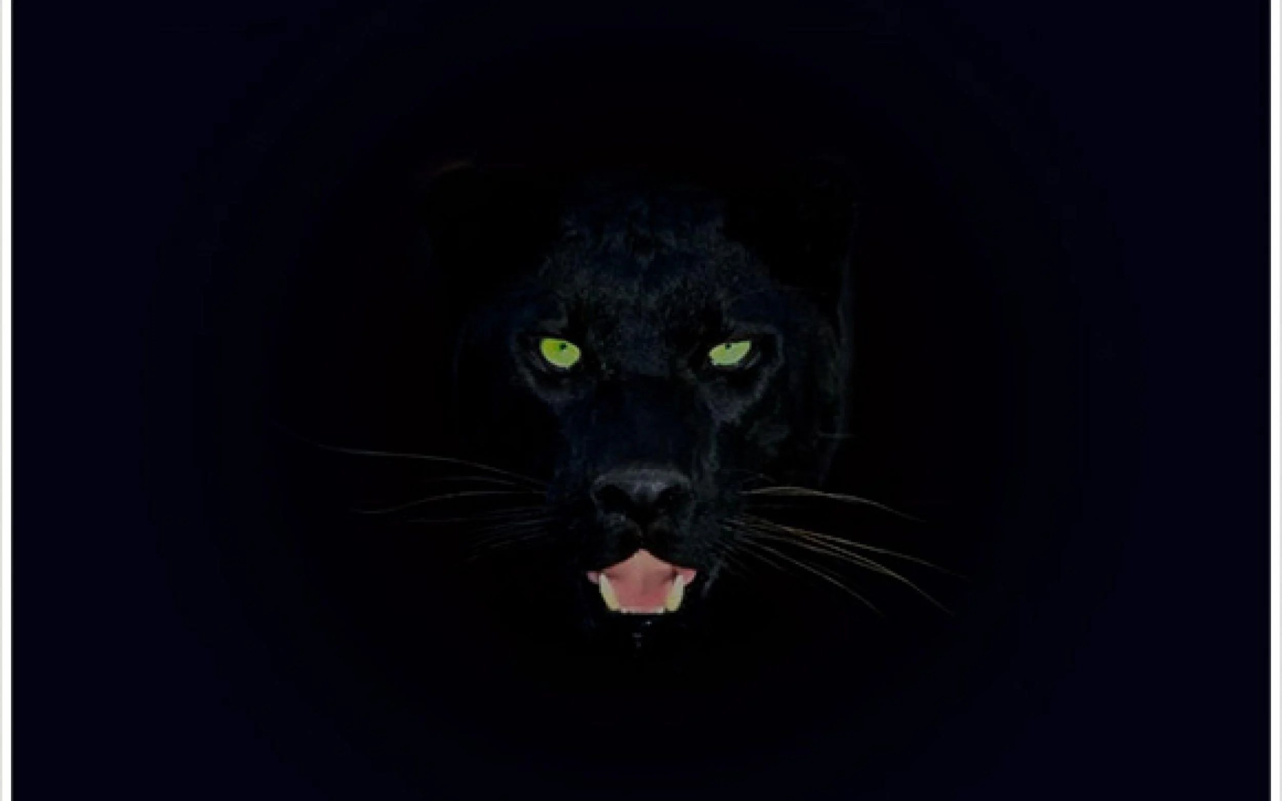 Black Panther Laptop Wallpapers Top Free Black Panther Laptop