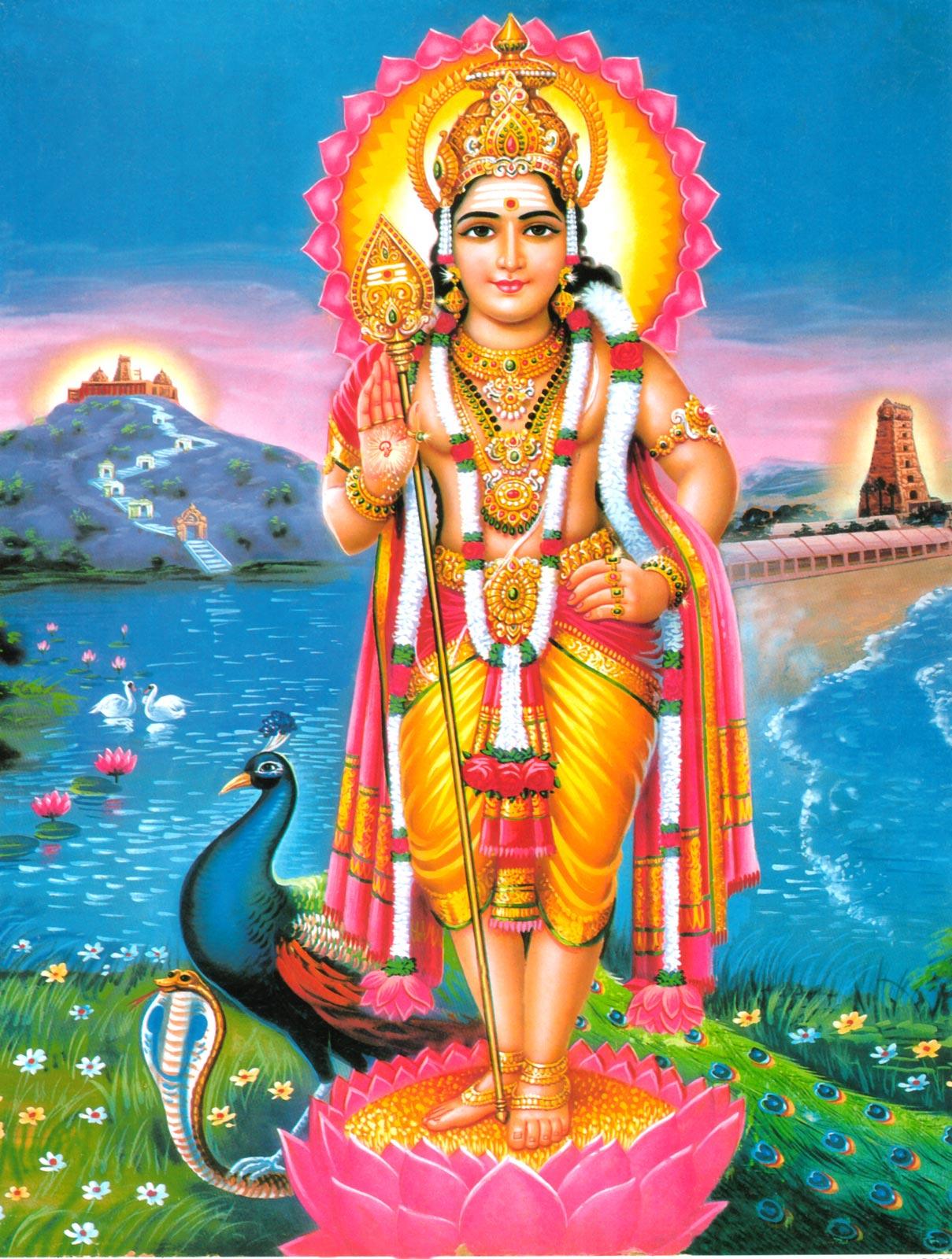 Lord Murugan Wallpapers Top Free Lord Murugan Backgrounds