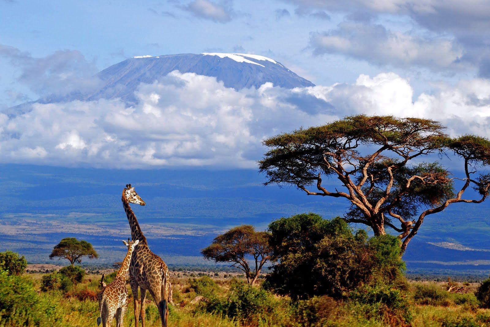 Tanzania Wallpapers Top Free Tanzania Backgrounds WallpaperAccess