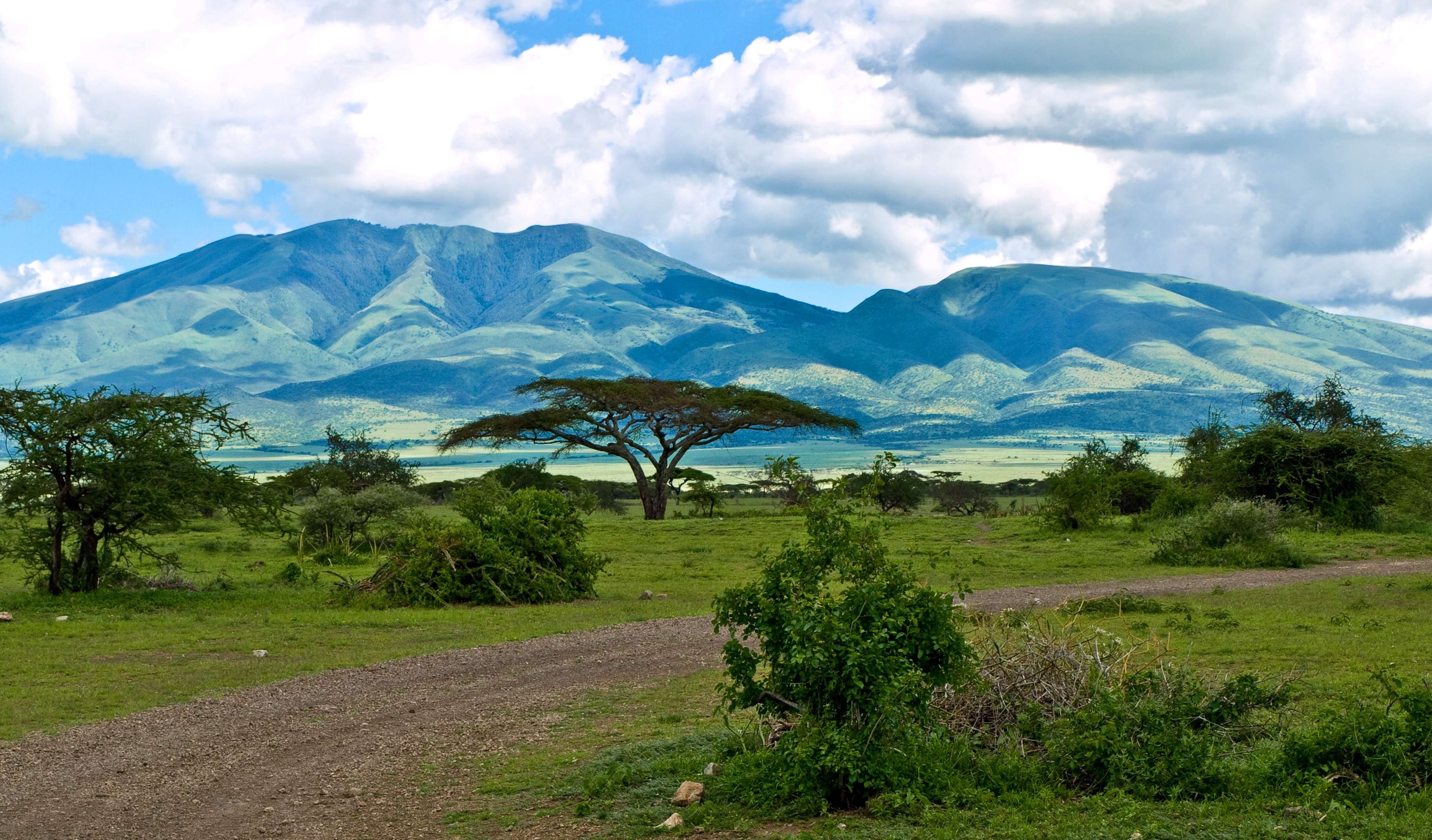 Tanzania Wallpapers Top Free Tanzania Backgrounds WallpaperAccess