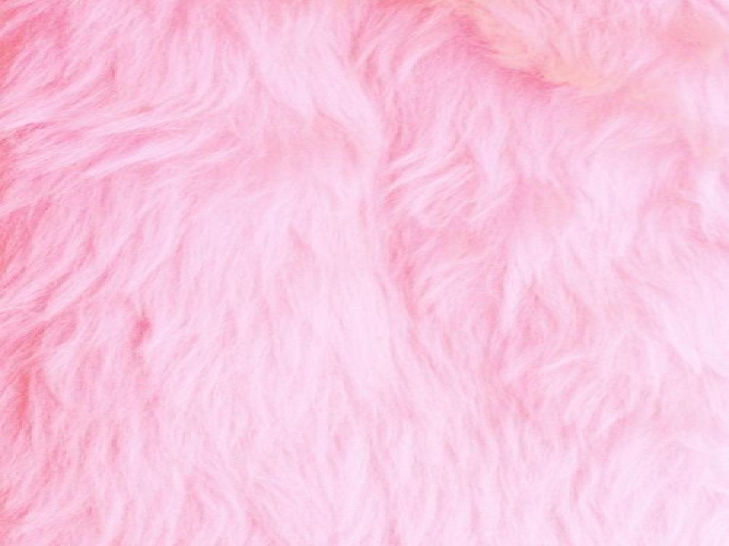 Fluffy Wallpapers Top Free Fluffy Backgrounds WallpaperAccess