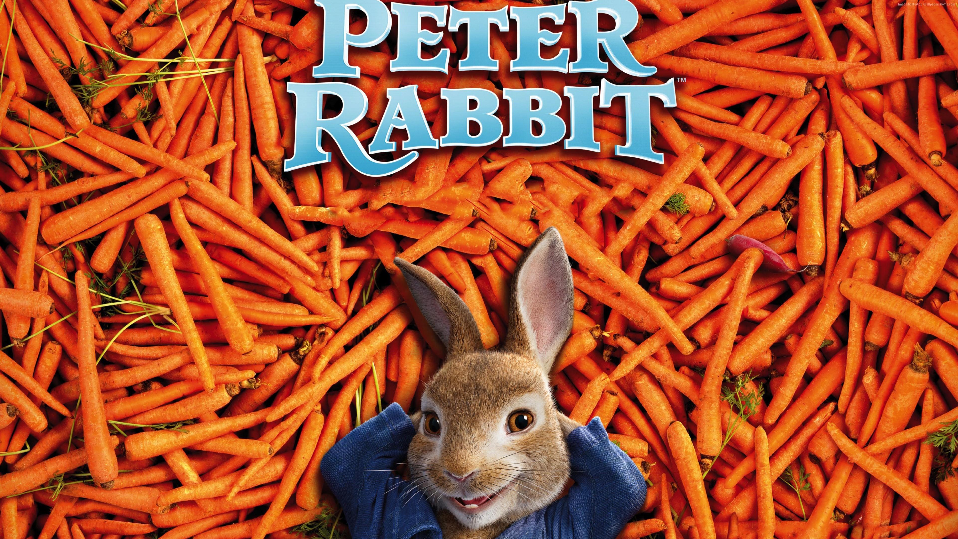Carrot Wallpapers Top Free Carrot Backgrounds