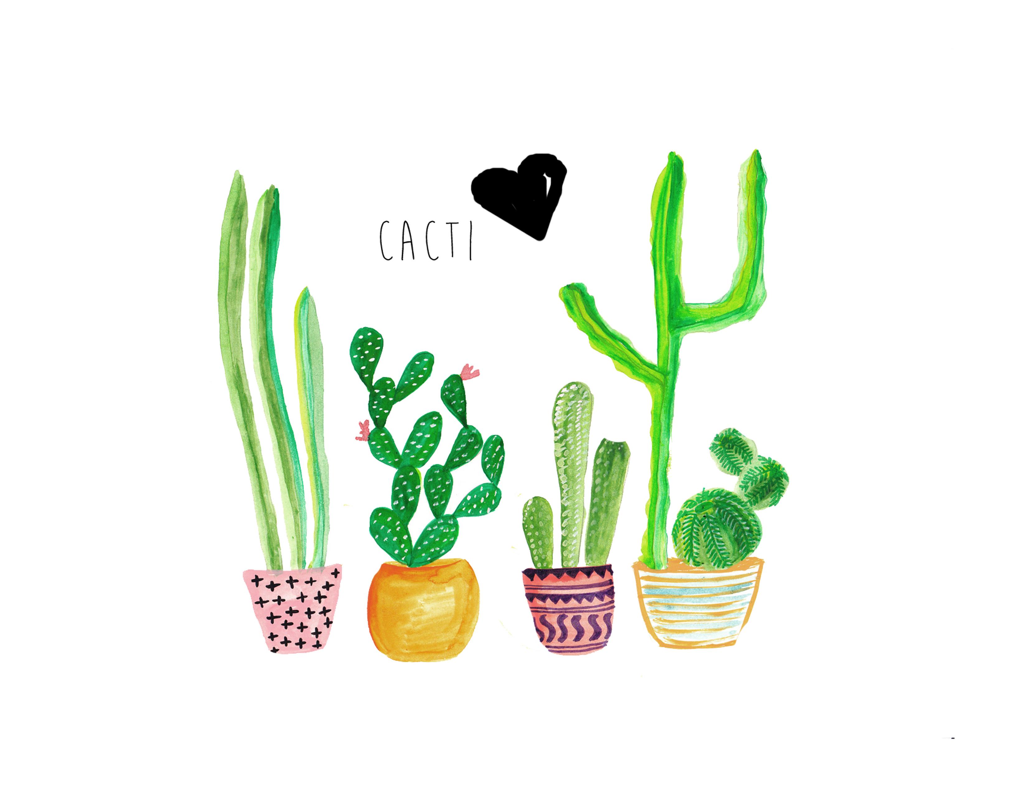 Cute Cactus Wallpapers Top Free Cute Cactus Backgrounds WallpaperAccess
