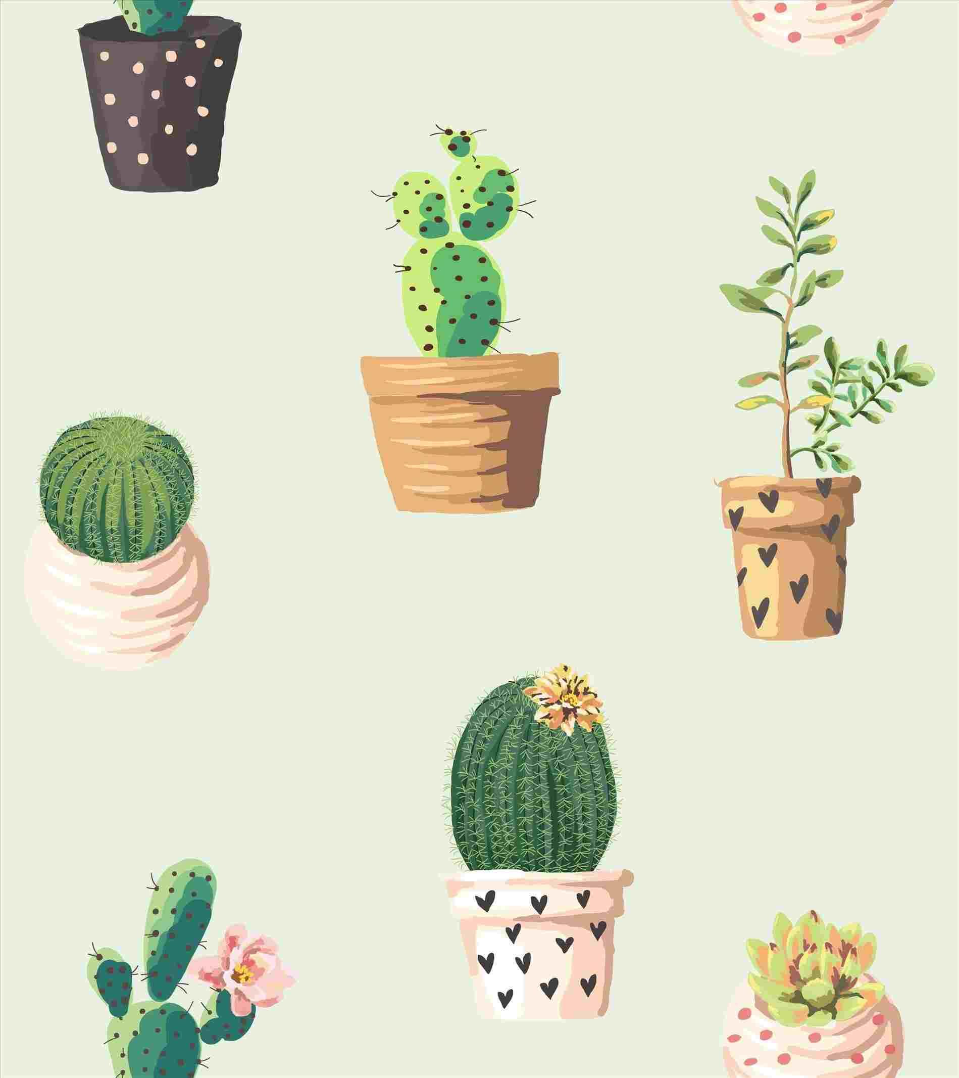 Cute Cactus Wallpapers Top Free Cute Cactus Backgrounds WallpaperAccess