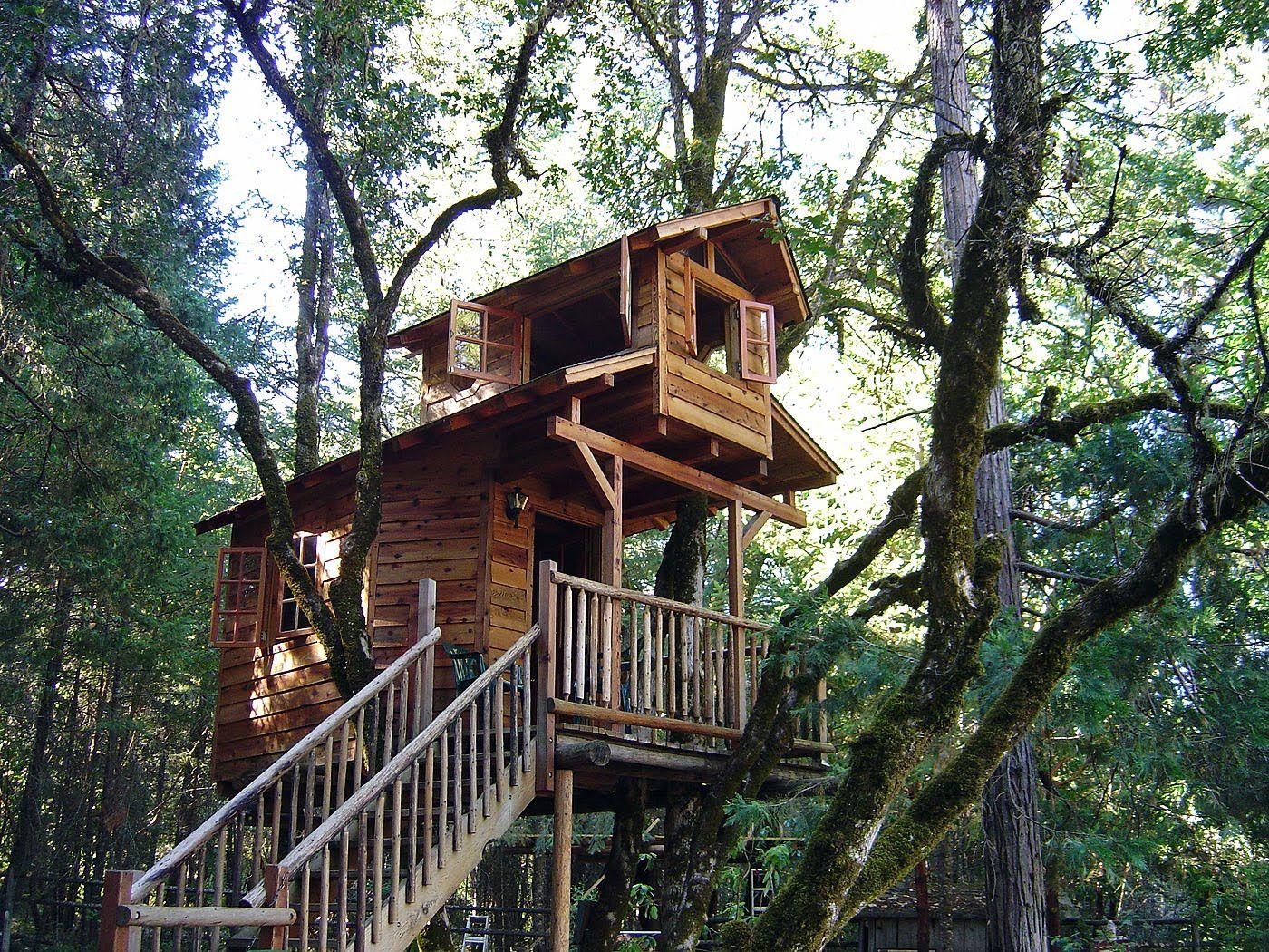 Tree House Wallpapers Top Free Tree House Backgrounds WallpaperAccess