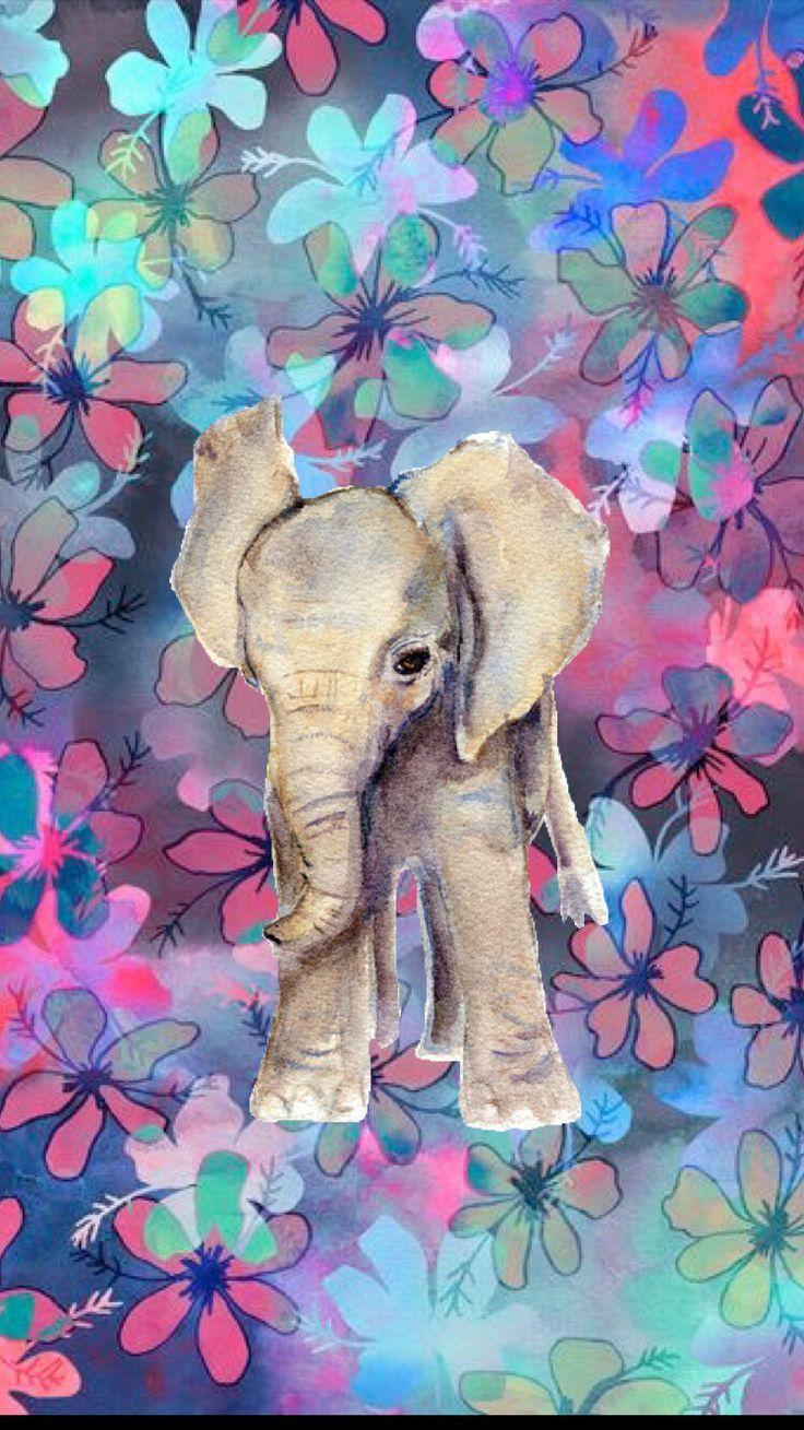 Colorful Elephant Wallpapers Top Free Colorful Elephant Backgrounds