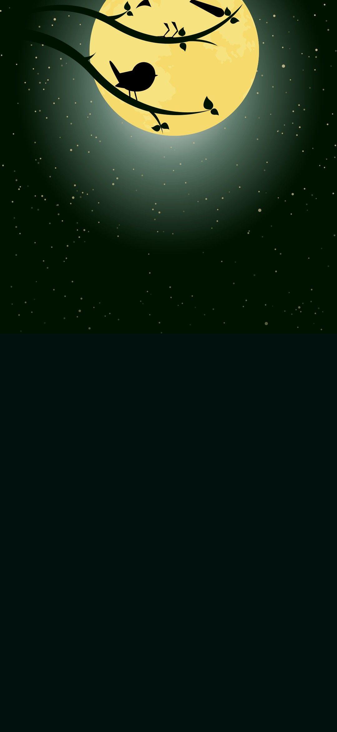 Dot Notch Wallpapers Top Free Dot Notch Backgrounds WallpaperAccess