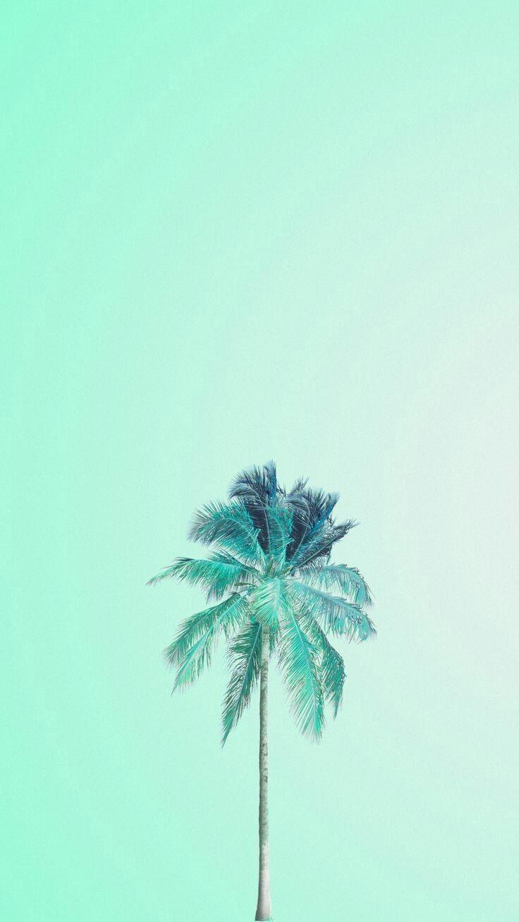 Turquoise Phone Wallpapers Top Free Turquoise Phone Backgrounds