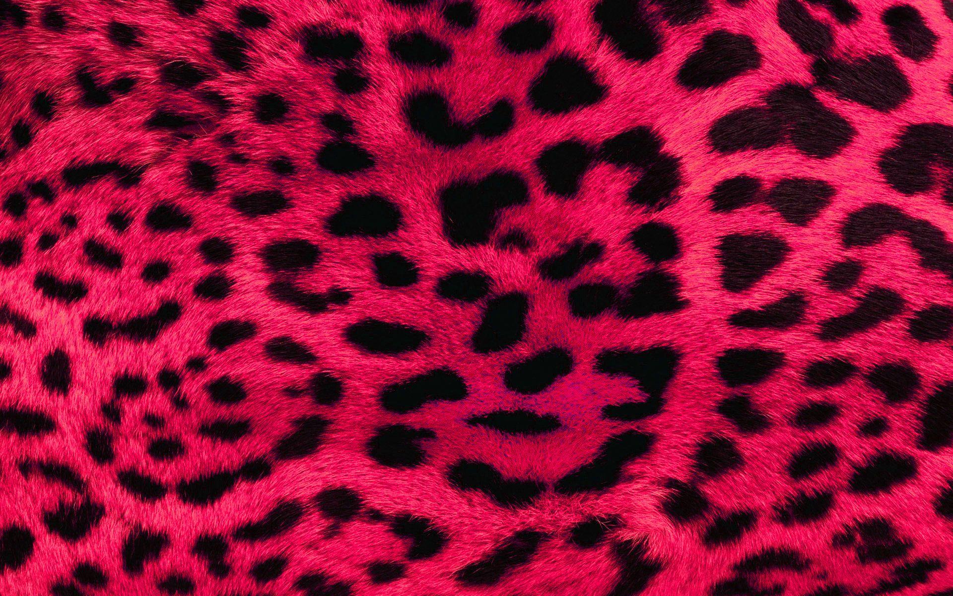 Leopard Pattern Wallpapers Top Free Leopard Pattern Backgrounds