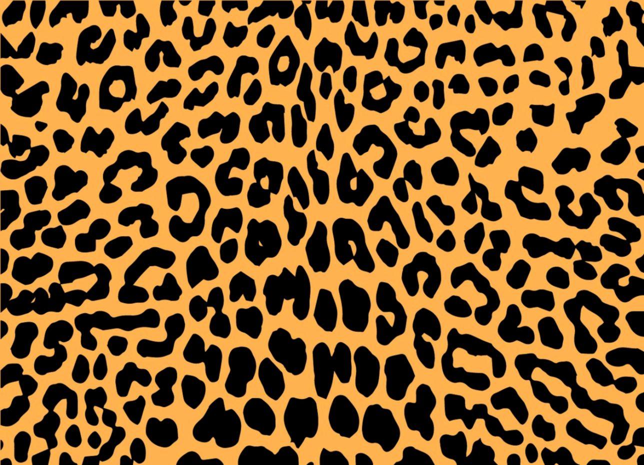 Leopard Pattern Wallpapers Top Free Leopard Pattern Backgrounds