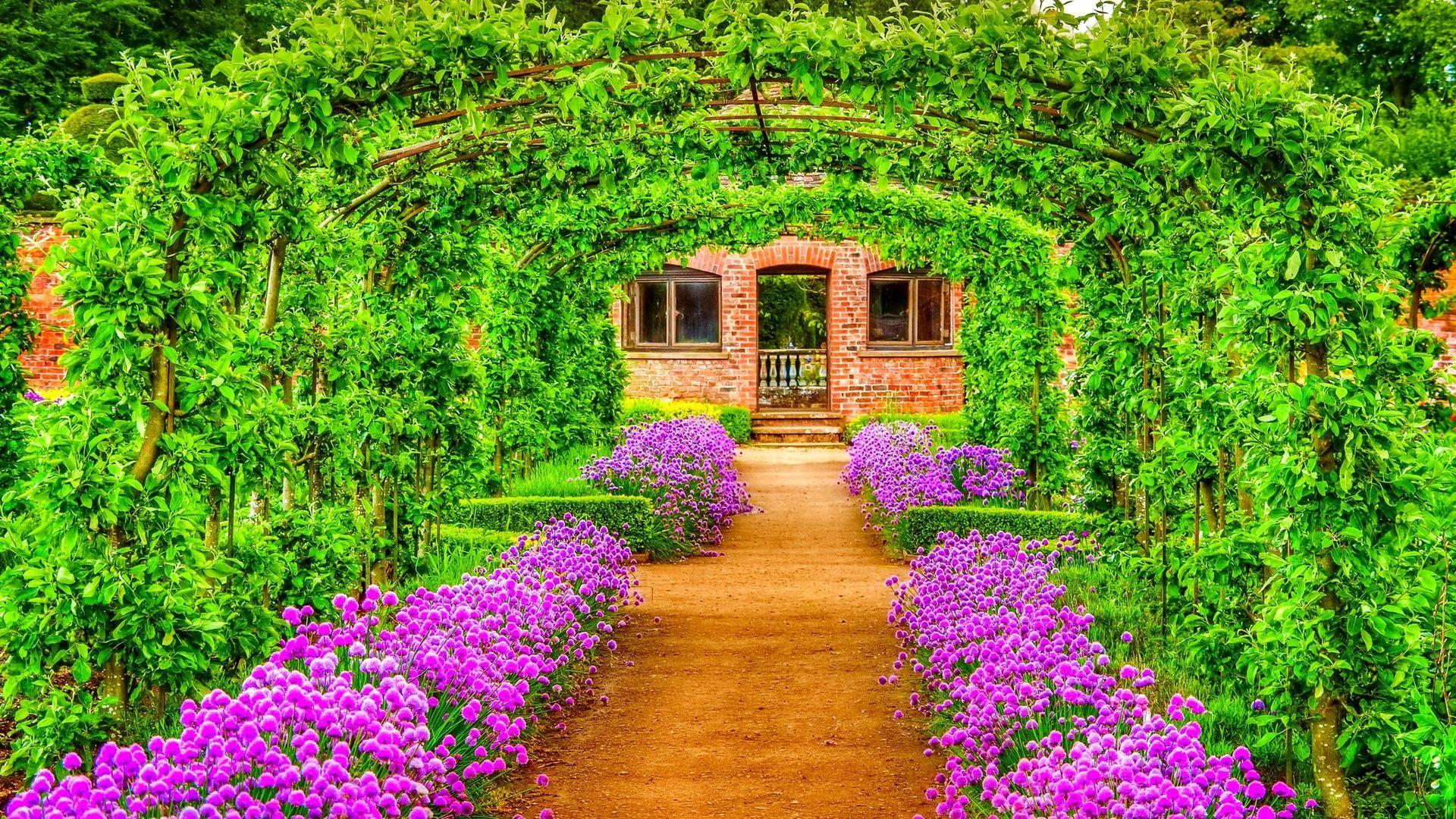 Pink Nature Wallpapers Top Free Pink Nature Backgrounds WallpaperAccess