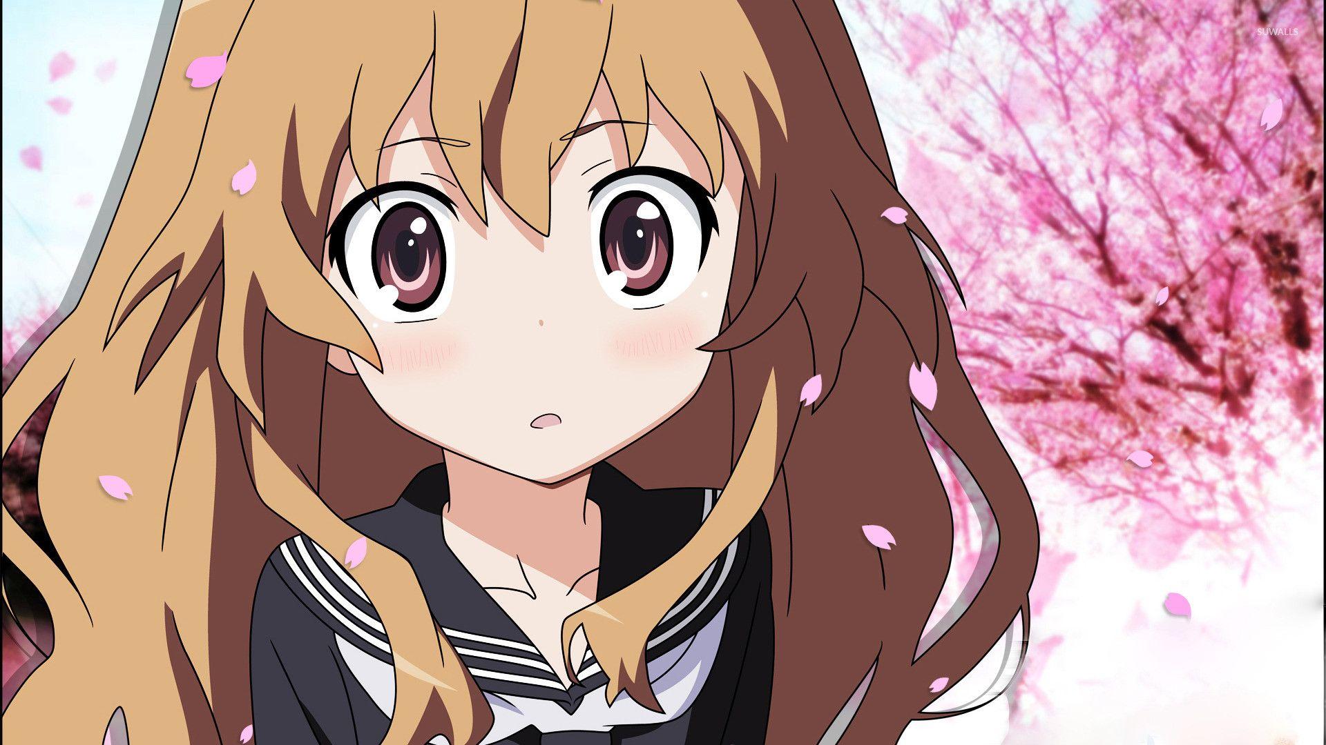 Toradora Wallpapers Top Free Toradora Backgrounds WallpaperAccess