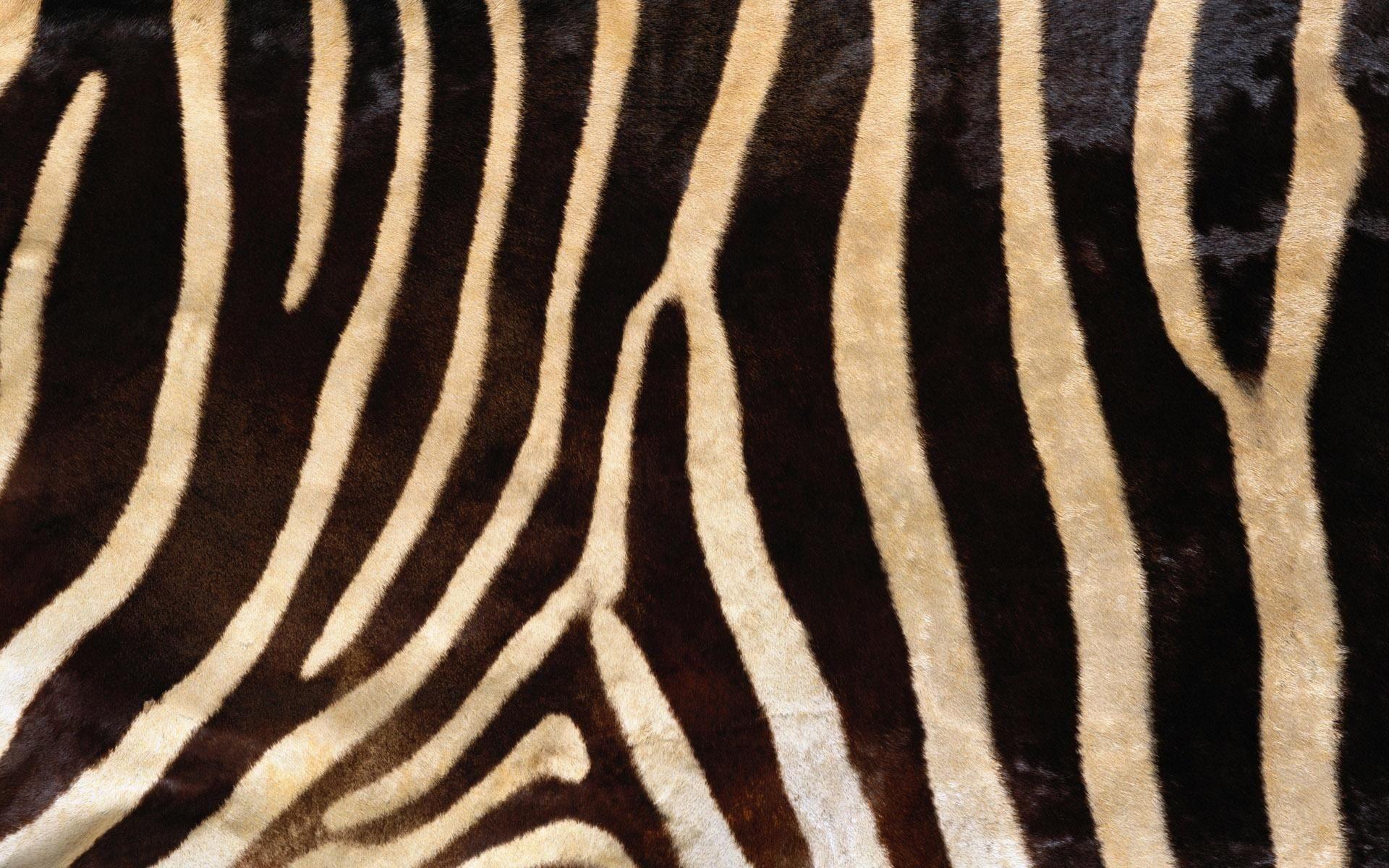 Animal Skin Wallpapers Top Free Animal Skin Backgrounds WallpaperAccess