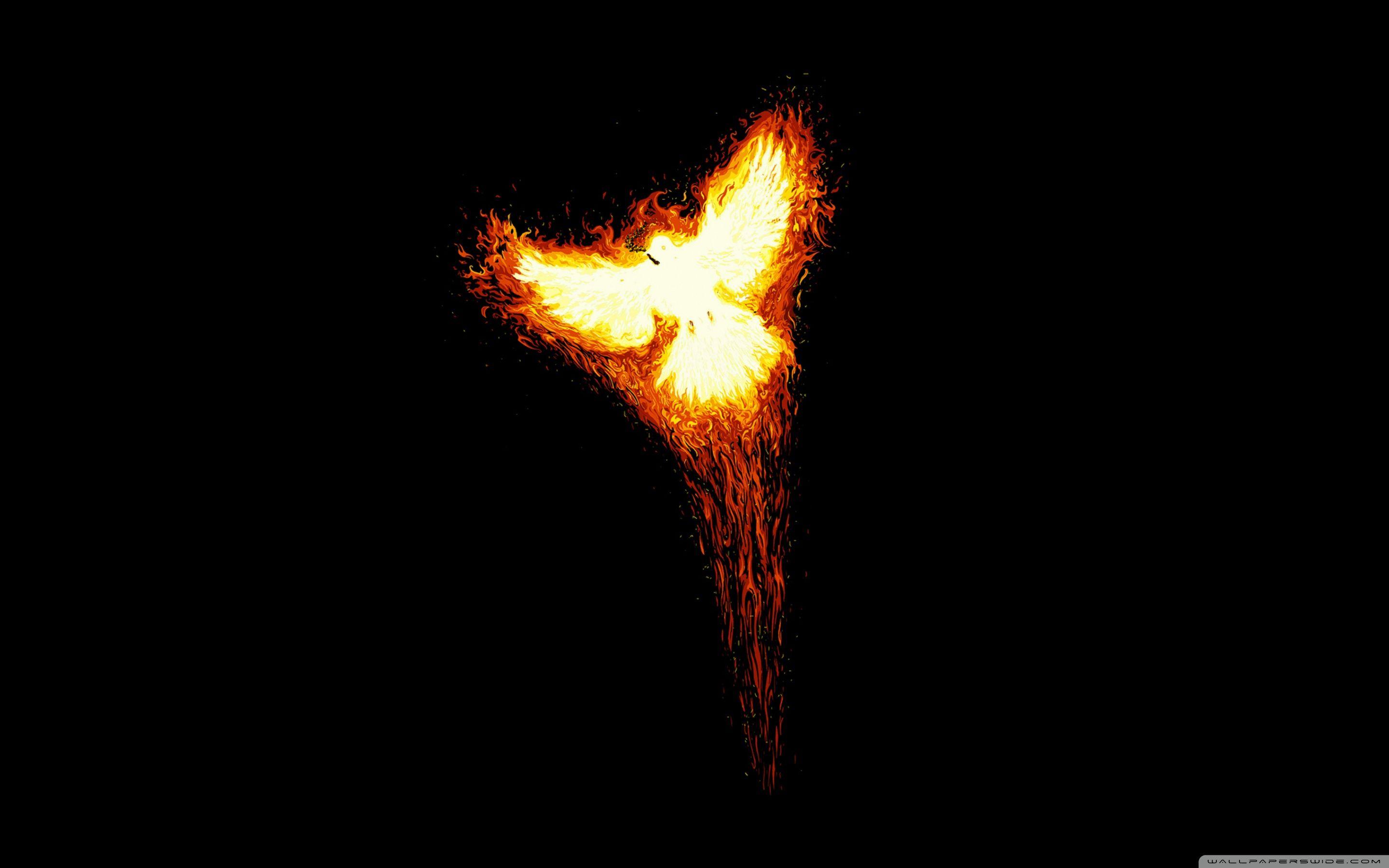 4K Phoenix Wallpapers Top Free 4K Phoenix Backgrounds WallpaperAccess