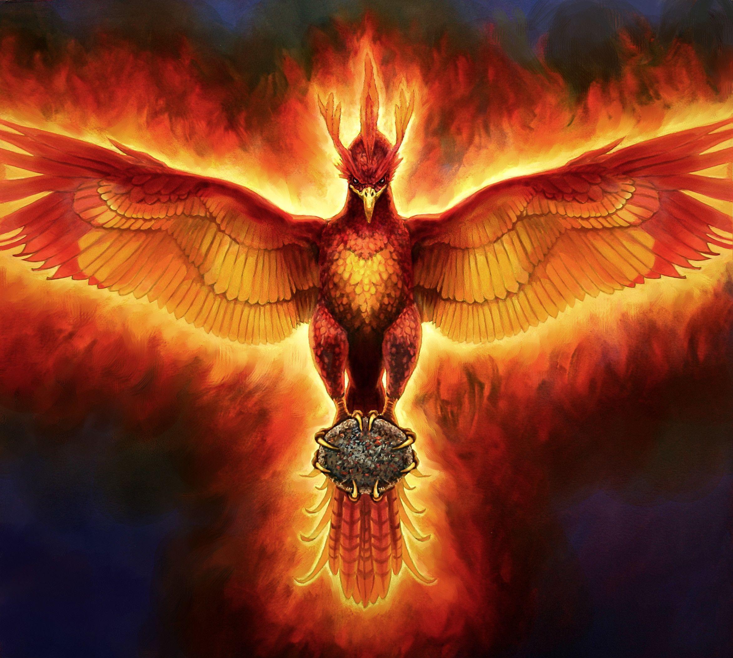 4K Phoenix Bird Wallpapers - Top Free 4K Phoenix Bird Backgrounds