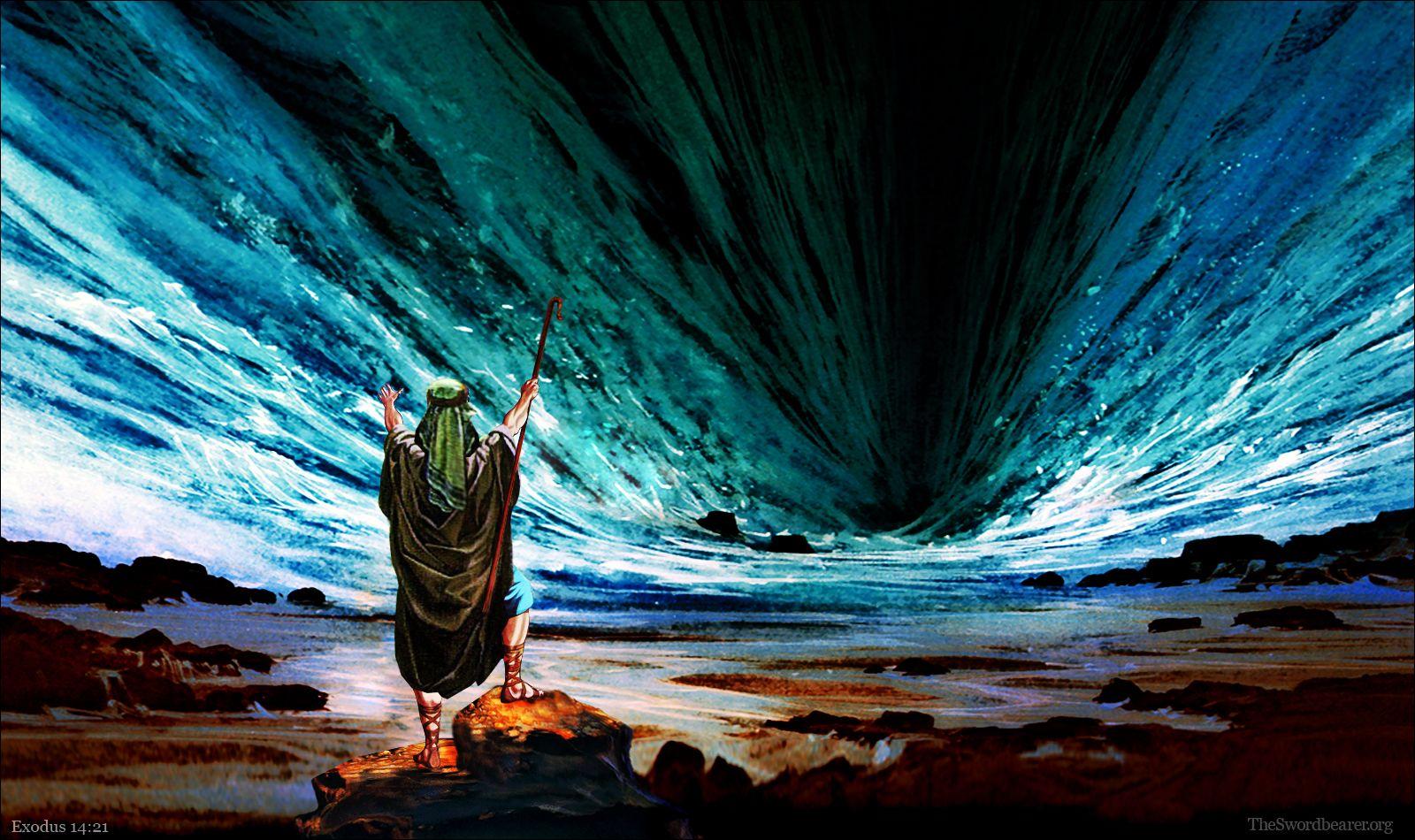 Red Sea Wallpapers Top Free Red Sea Backgrounds WallpaperAccess