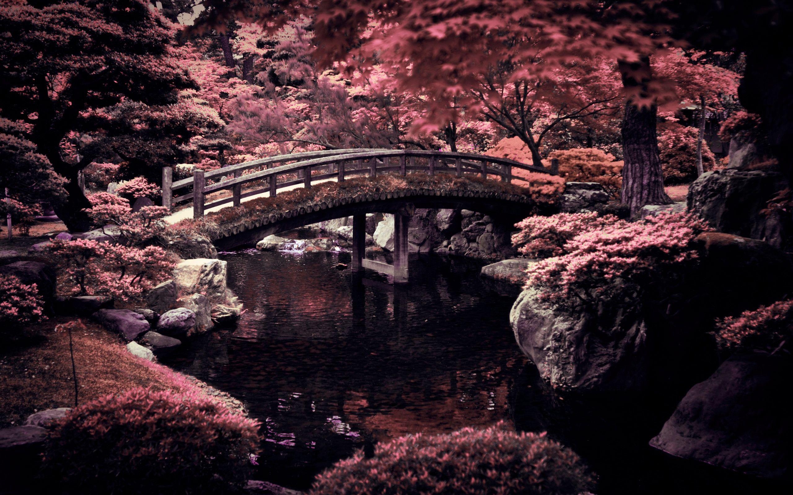 Japanese Desktop Wallpapers Top Free Japanese Desktop Backgrounds