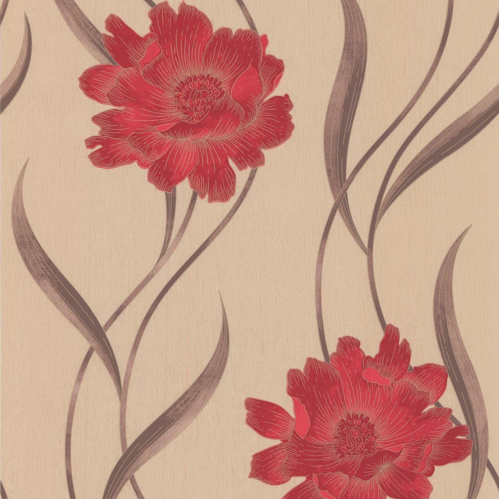 Red Poppy Wallpapers Top Free Red Poppy Backgrounds WallpaperAccess